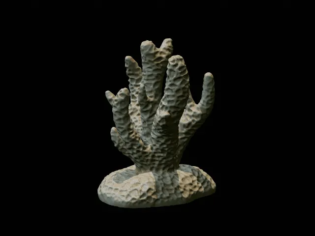 Bộ San Hô - Trang Trí Bể Cá / Terrarium