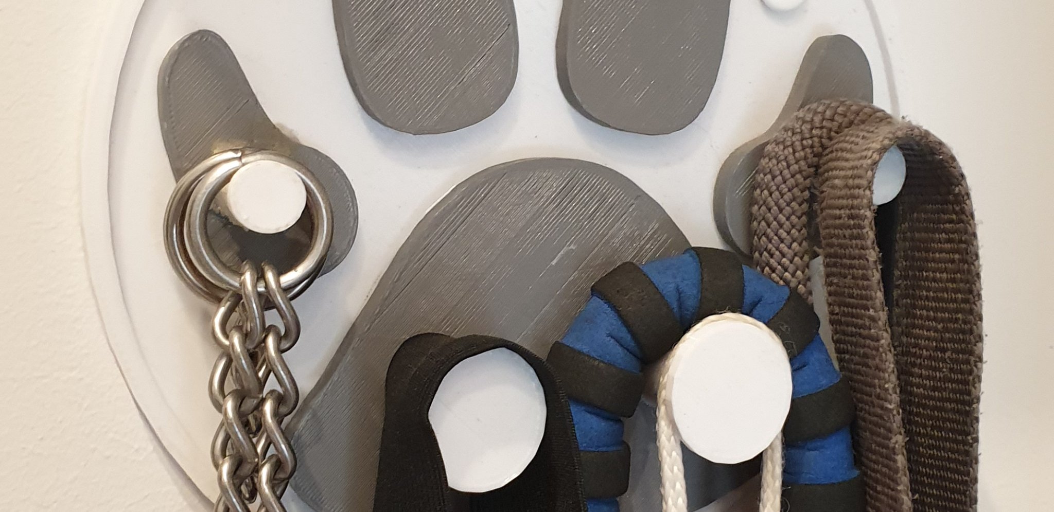 Giá treo tường hình dấu chân chó cho vật dụng thú cưng