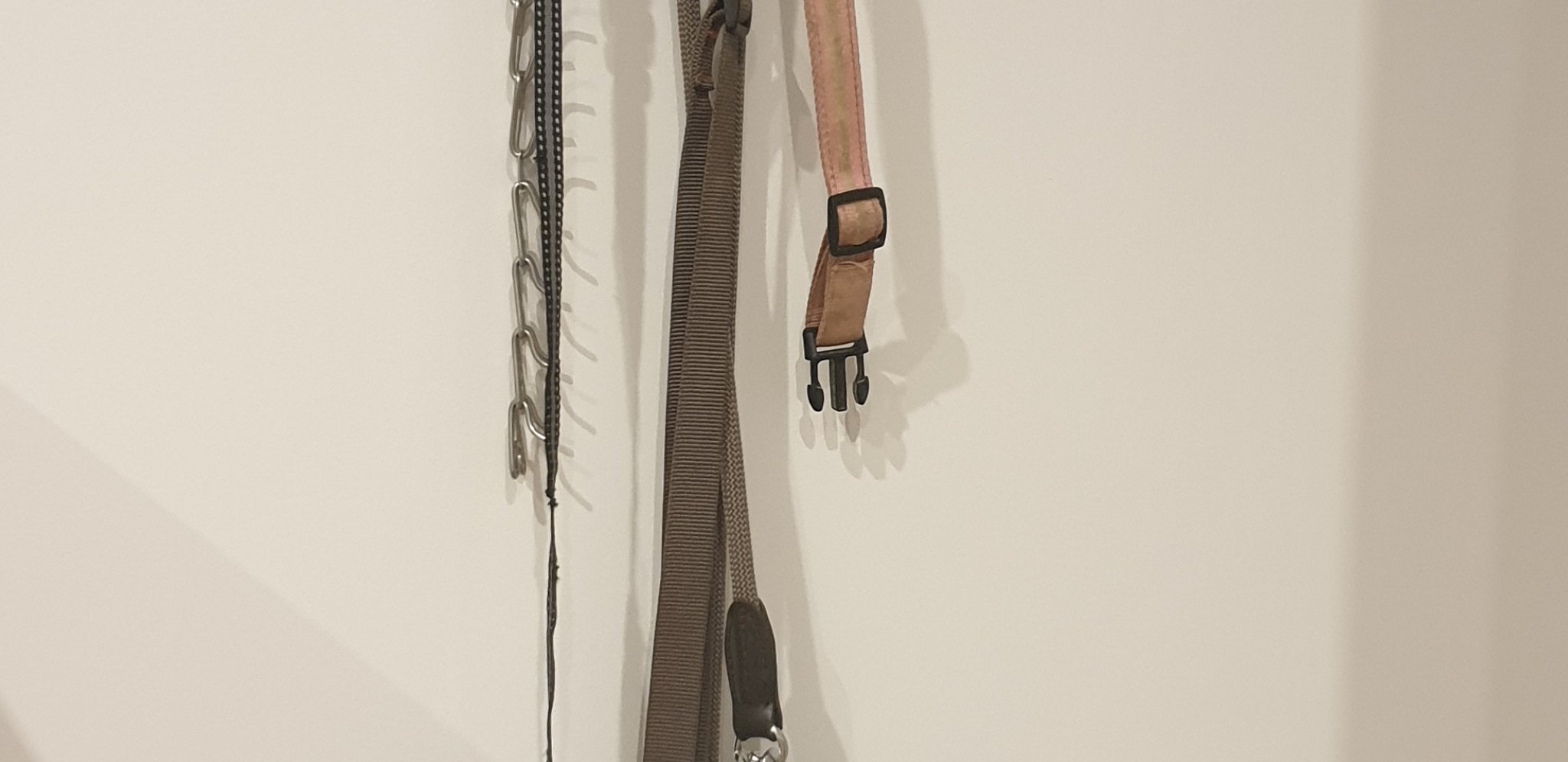 Giá treo tường hình dấu chân chó cho vật dụng thú cưng