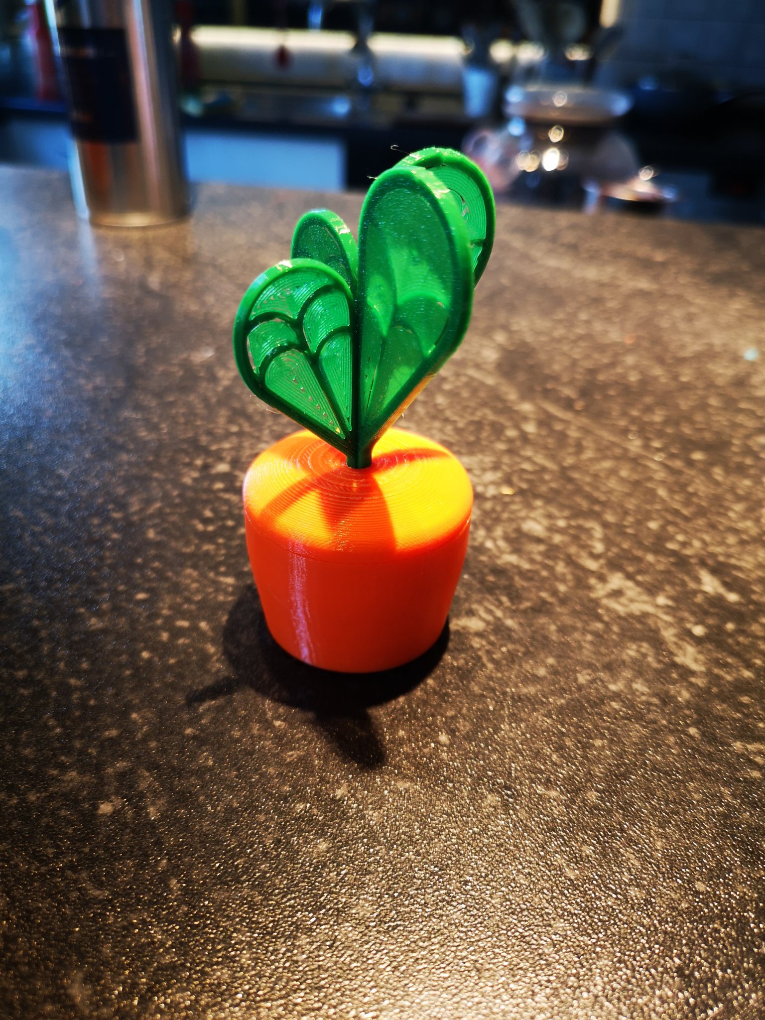 Cà rốt gập lại có lá, hai kích thước khác nhau