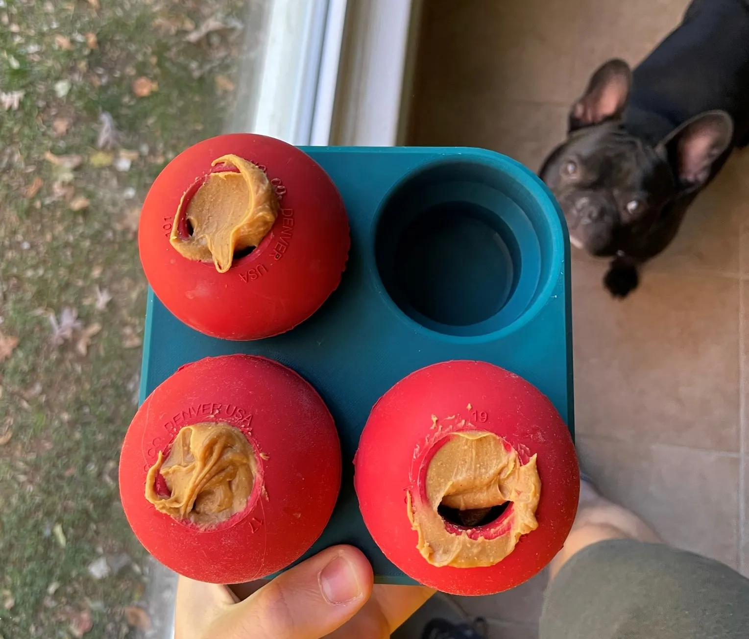 Khay đông lạnh cho đồ chơi chó Kong lớn