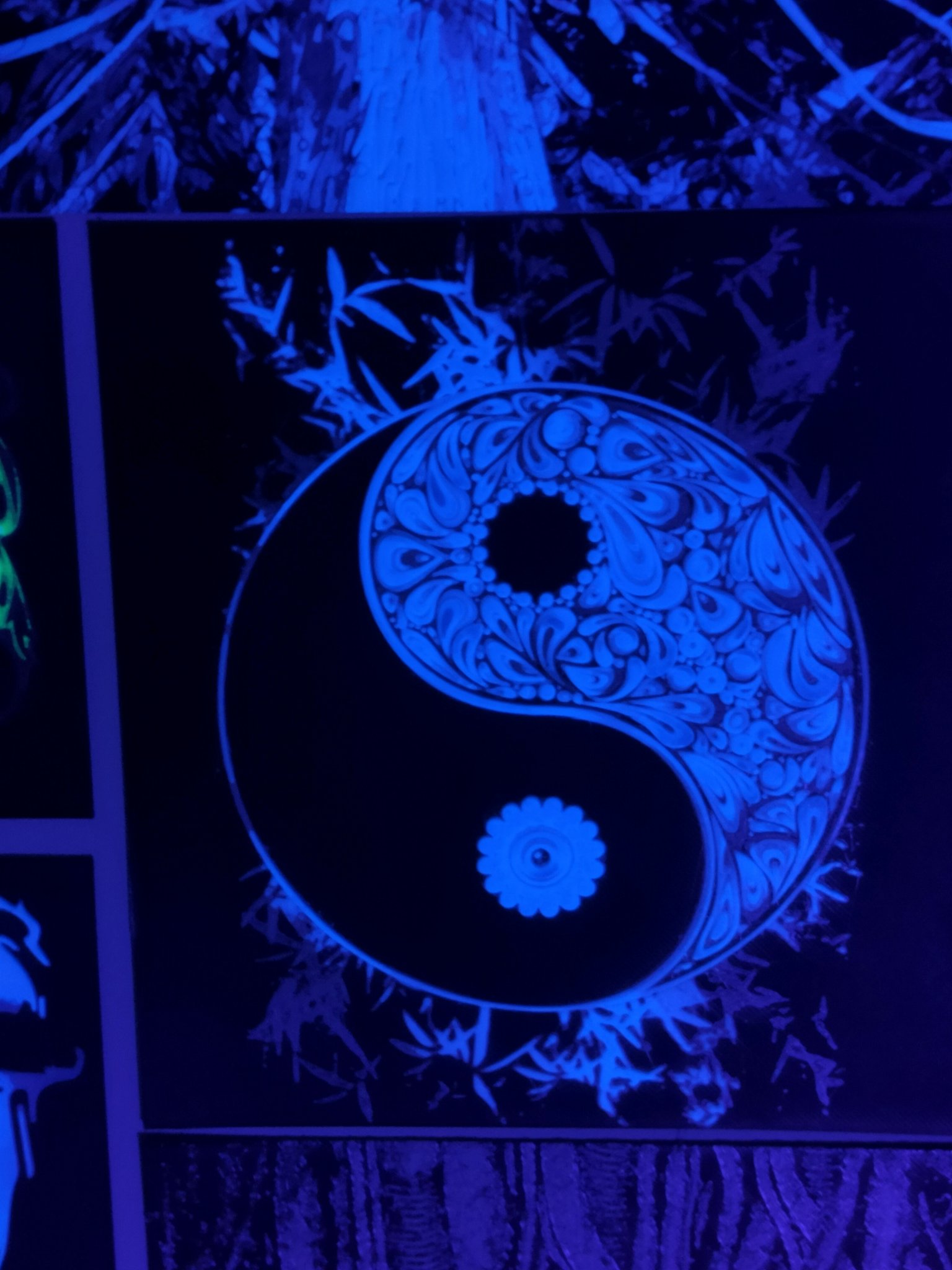 Nghiên cứu YIN YANG HUEFORGE 01 – 5 MÀU SẮC