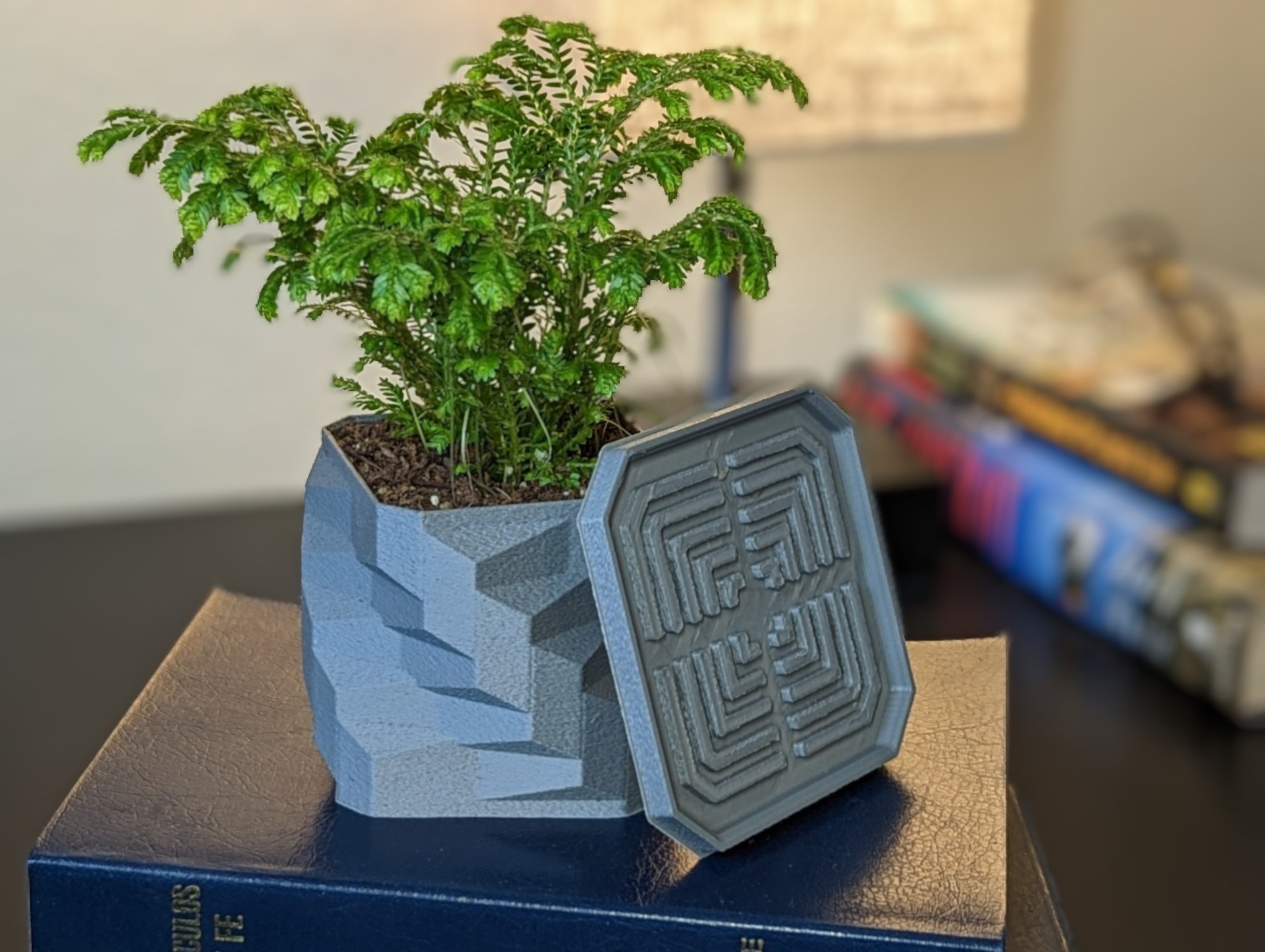 Chậu cây hình vuông xoắn với khay thoát nước cho cây nhà nhỏ