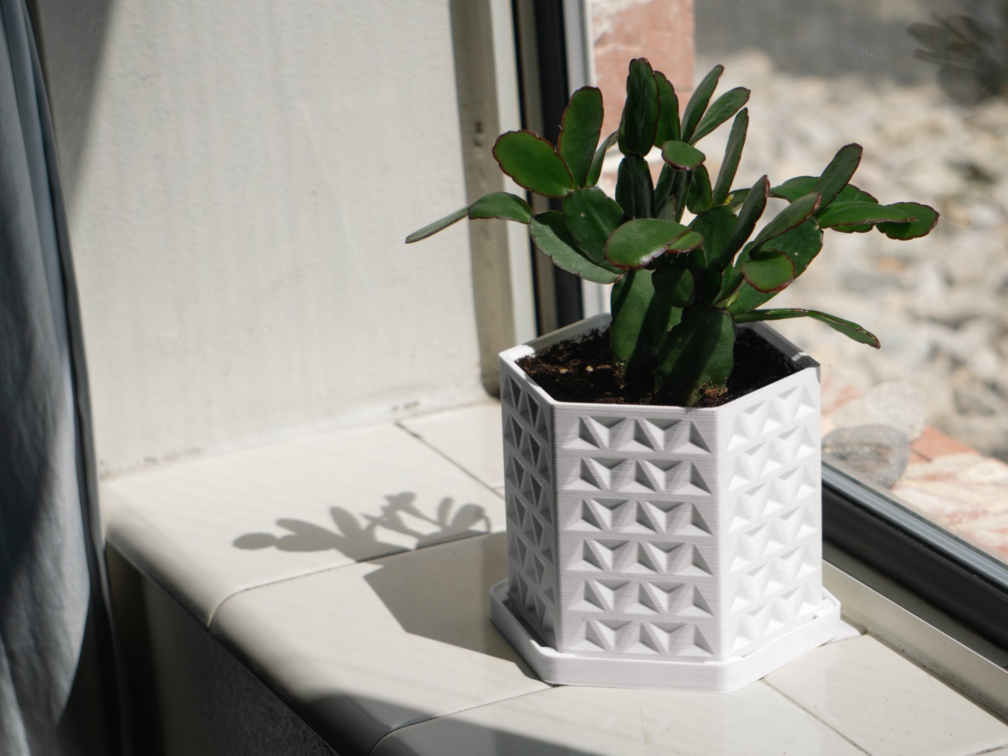 Chậu cây hình lục giác Tri-Hex 4 inch có lỗ thoát nước