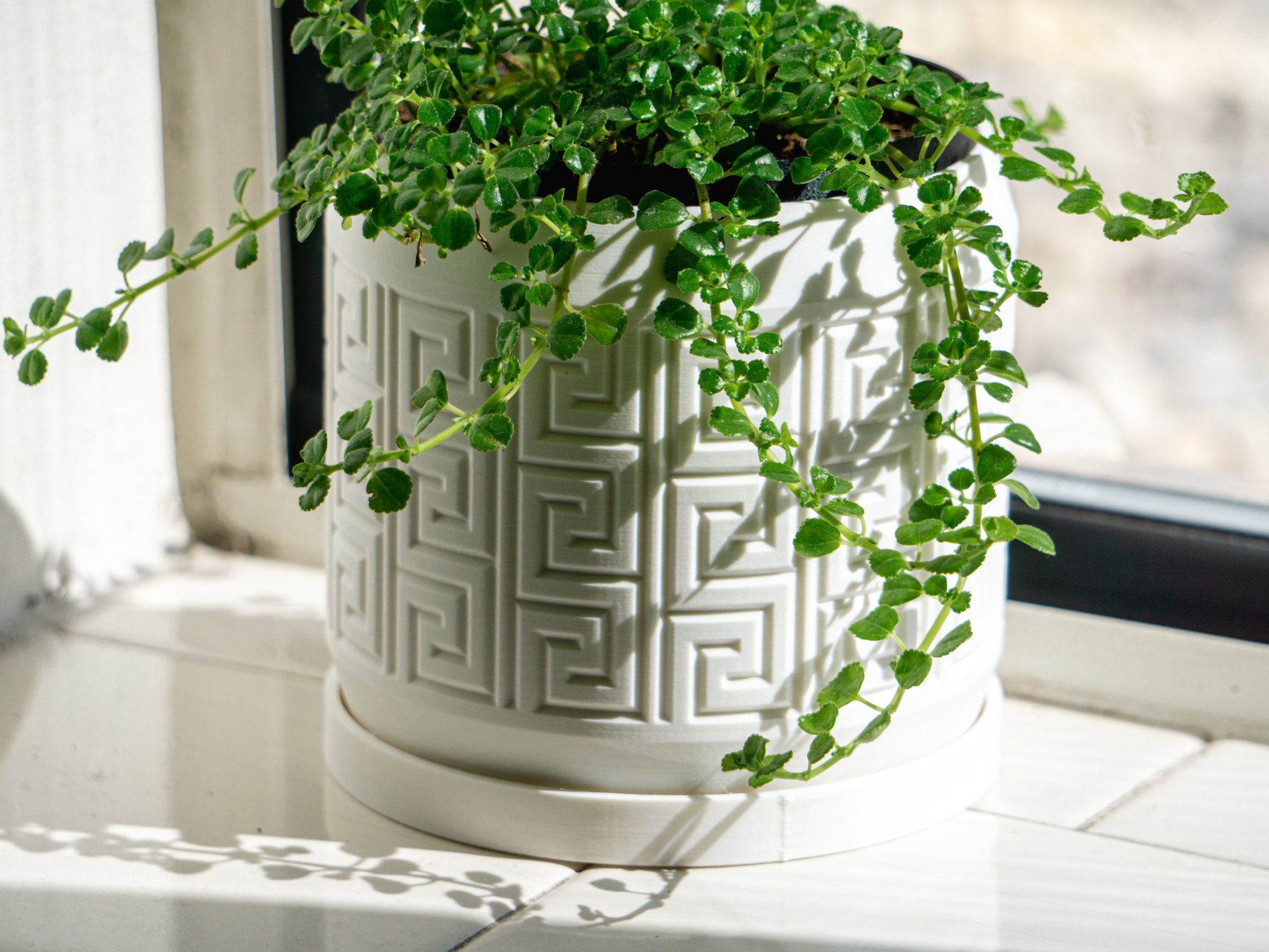 Chậu cây họa tiết Aztec có lỗ thoát nước và khay nhỏ giọt