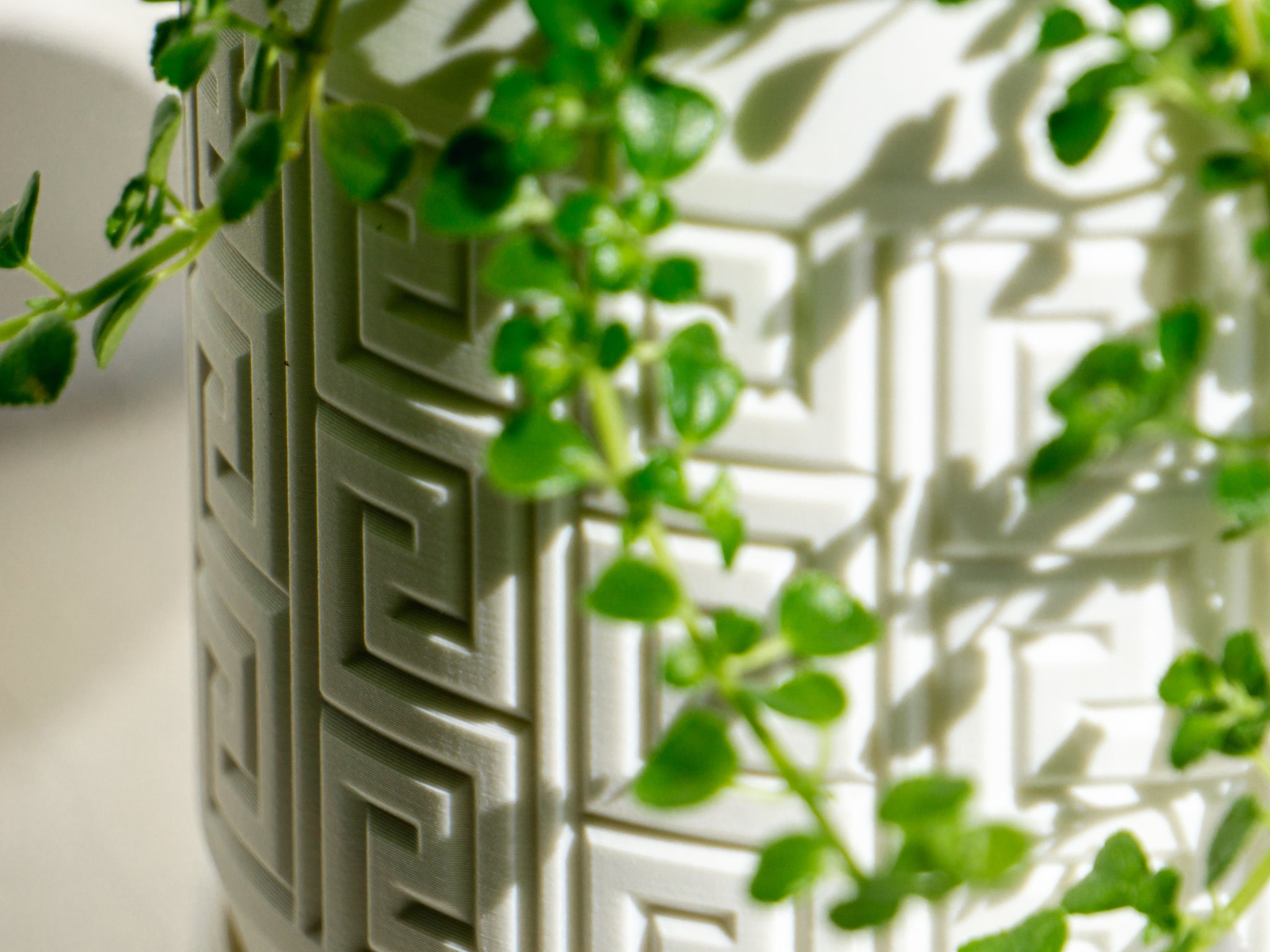 Chậu cây họa tiết Aztec có lỗ thoát nước và khay nhỏ giọt