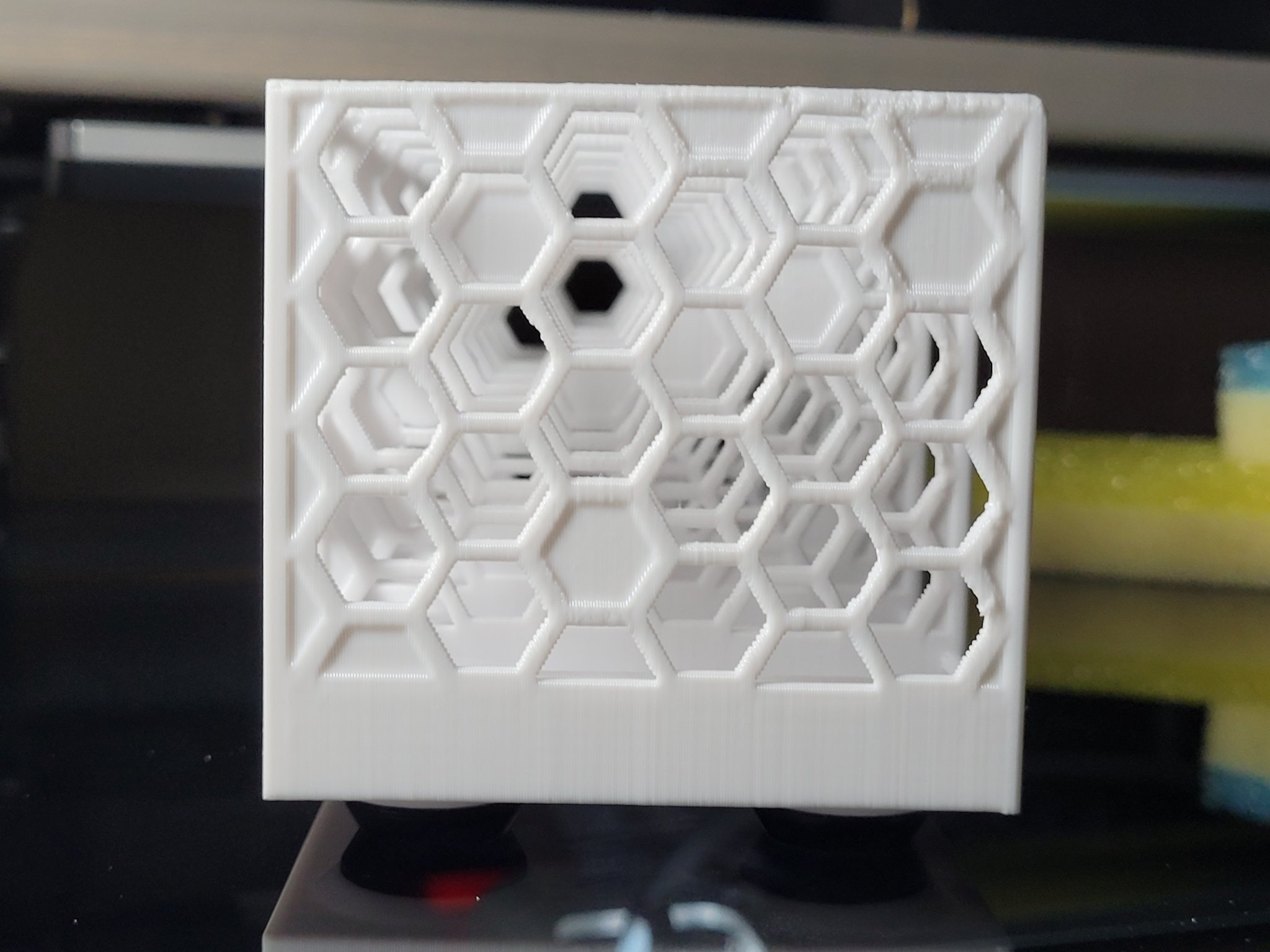 Giá đỡ bọt biển hình lục giác SpongeDaddy