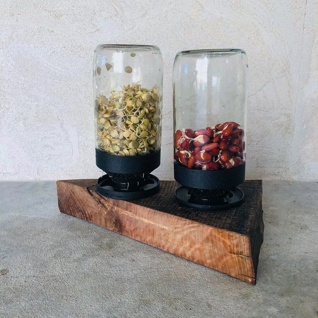 Lọc nước cho bình trồng giá đỗ tiện lợi một khối