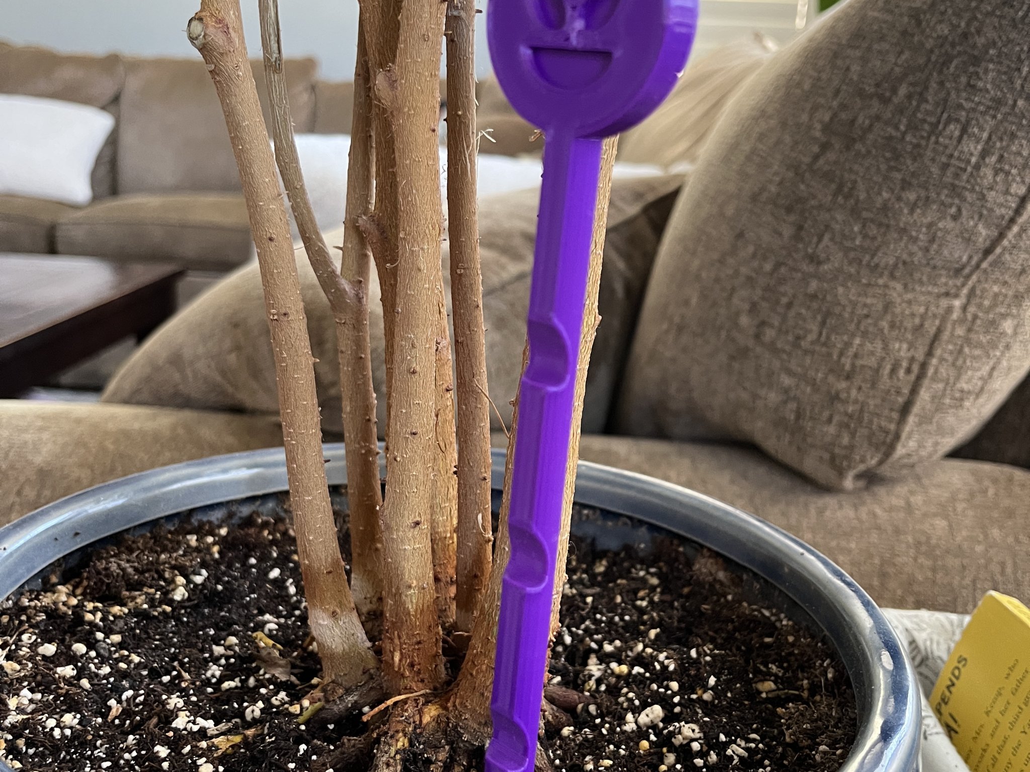 Cảm biến độ ẩm đất cho chậu cây trong nhà