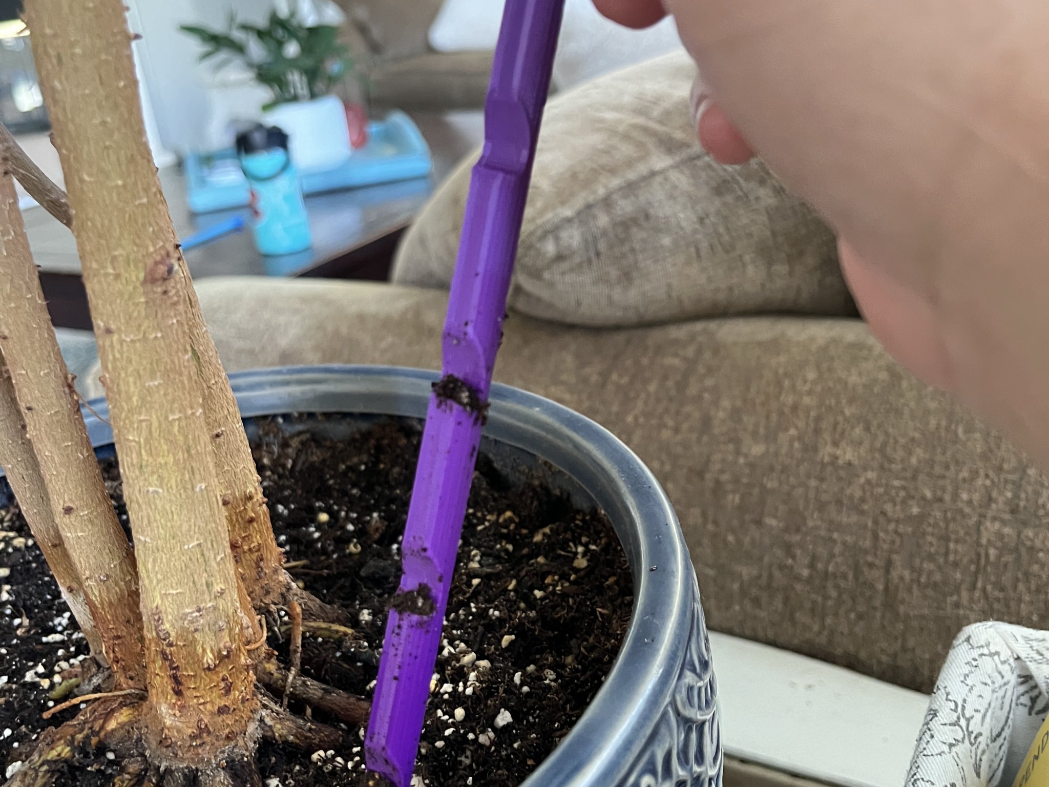 Cảm biến độ ẩm đất cho chậu cây trong nhà