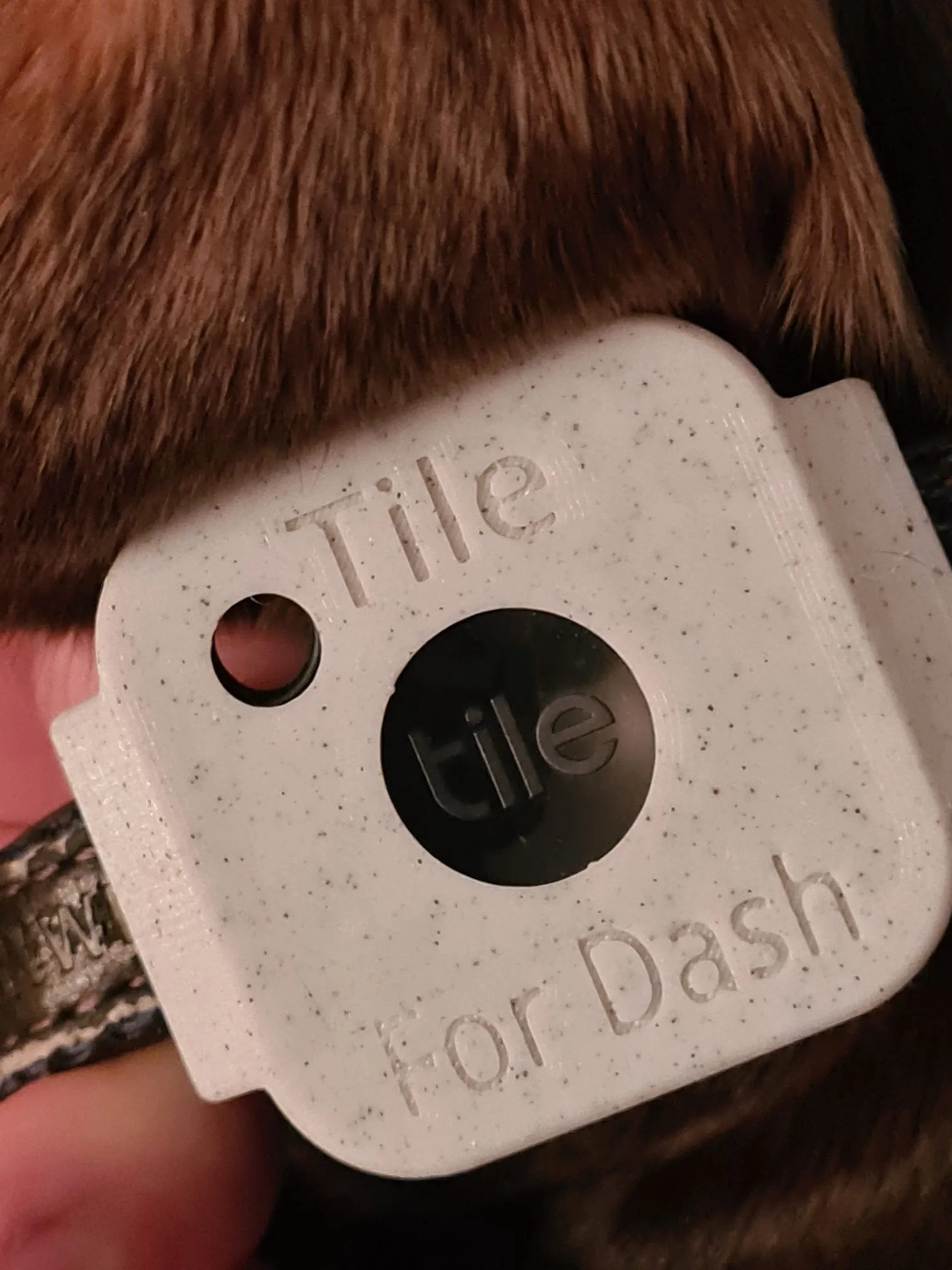 Dây đeo cổ cho chó Tile Mate (2022) với thiết bị theo dõi