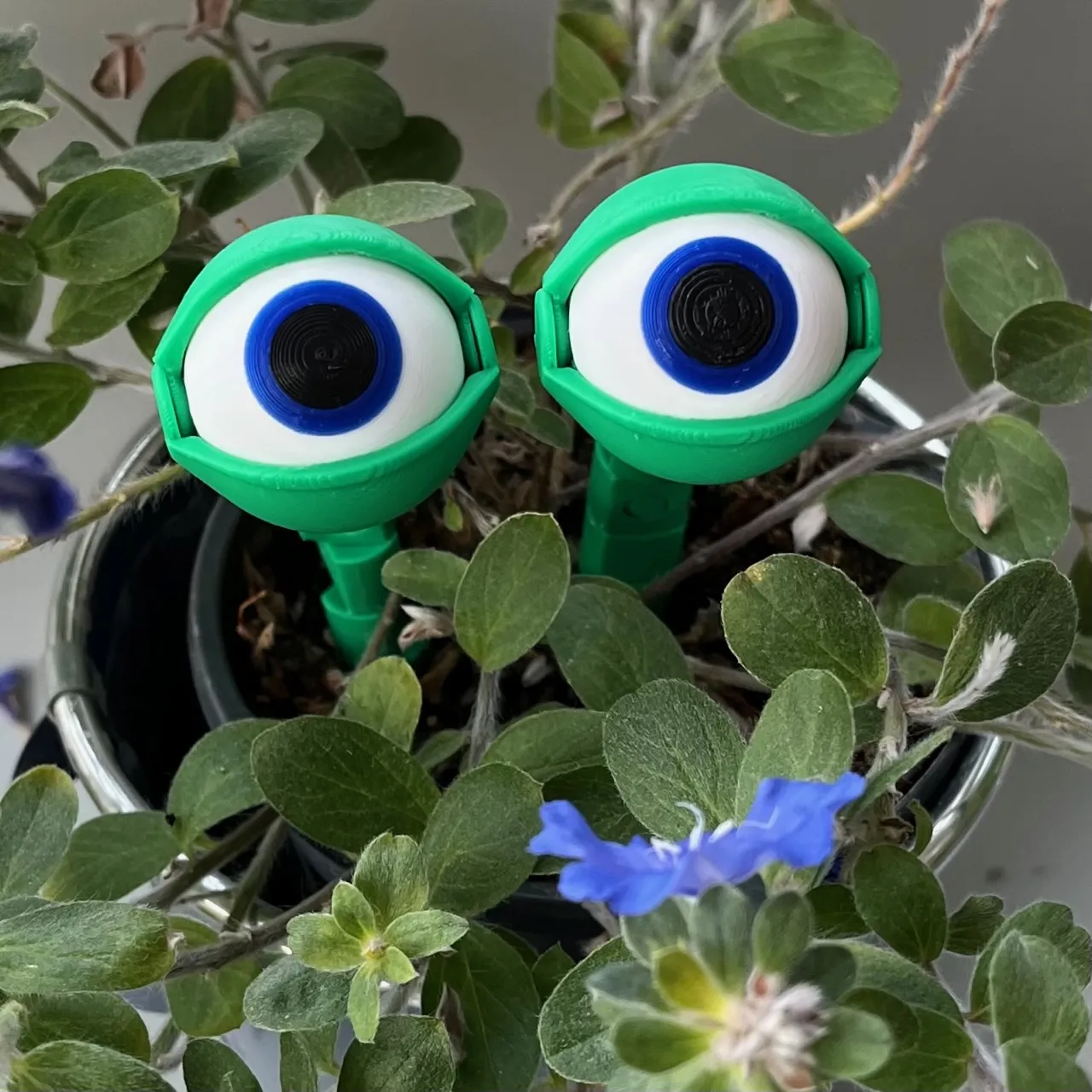 Nhân vật Eyegor - Mắt hoạt hình có thể chơi mọi nơi