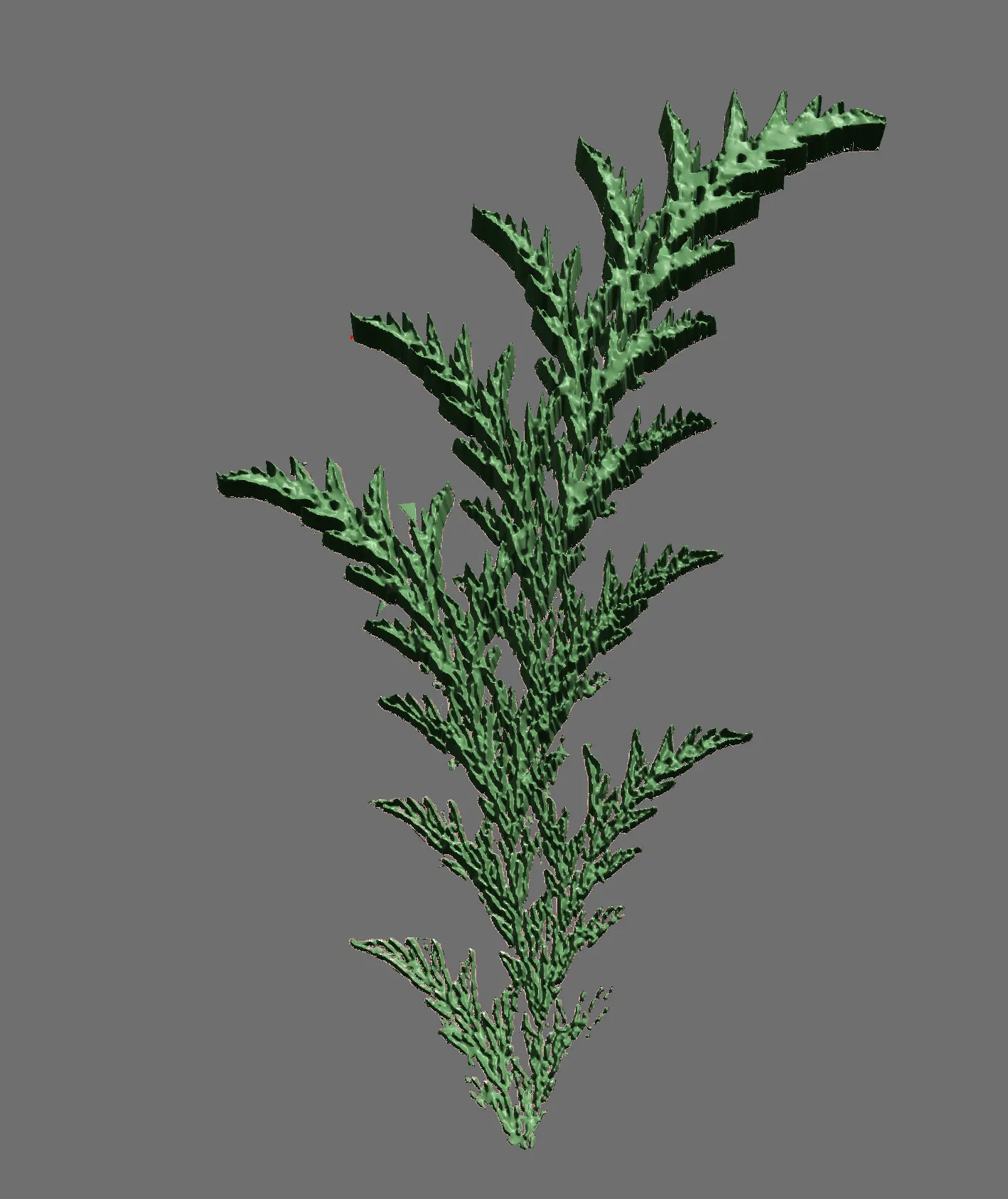 Cây dương xỉ fractal từ video chó điên rồ