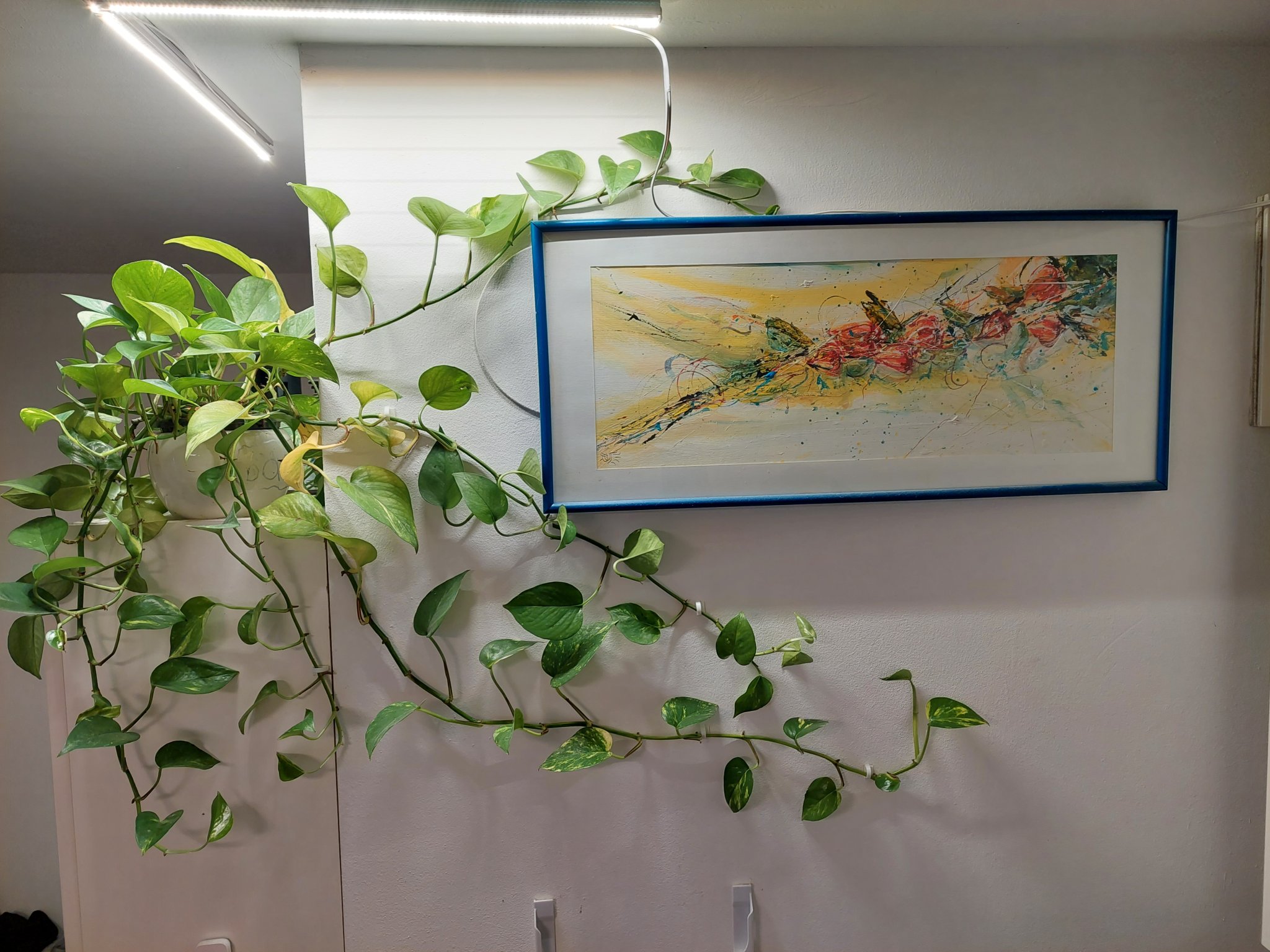 Giá đỡ cành cây treo tường thiết kế tối giản