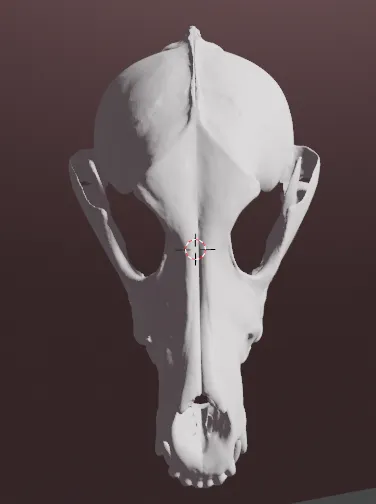 Mặt nạ sọ của sói xám