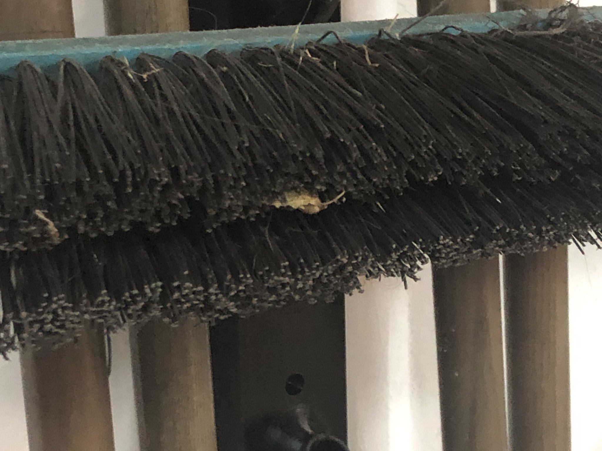 Giá đỡ dụng cụ làm vườn mở rộng Gardena