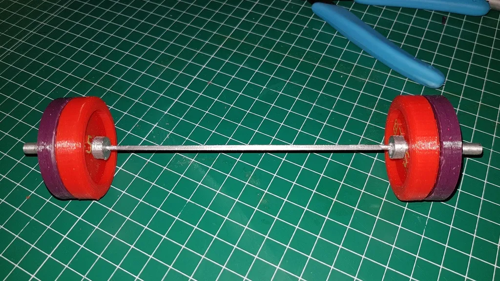 Đòn tạ và đĩa halterofilia cho thể thao