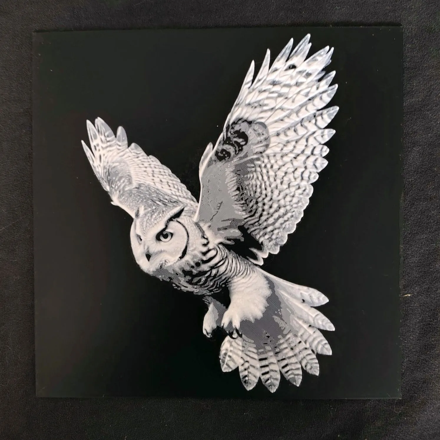 Cú đêm đen và trắng phong cách nghệ thuật HueForge