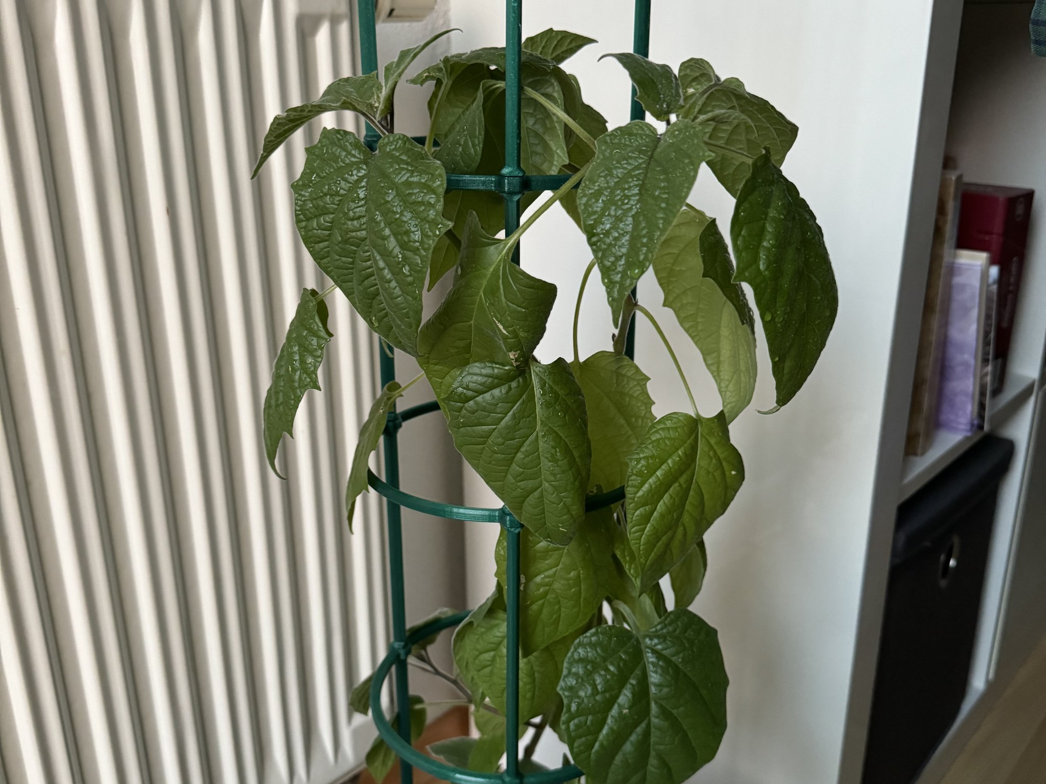 Giá đỡ cây trồng mô-đun xếp chồng linh hoạt