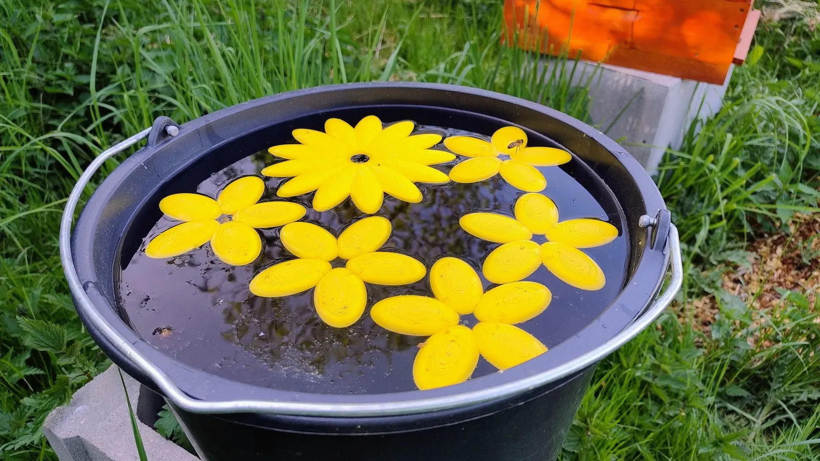 Bệ nước nổi cho ong với hoa 13 cánh