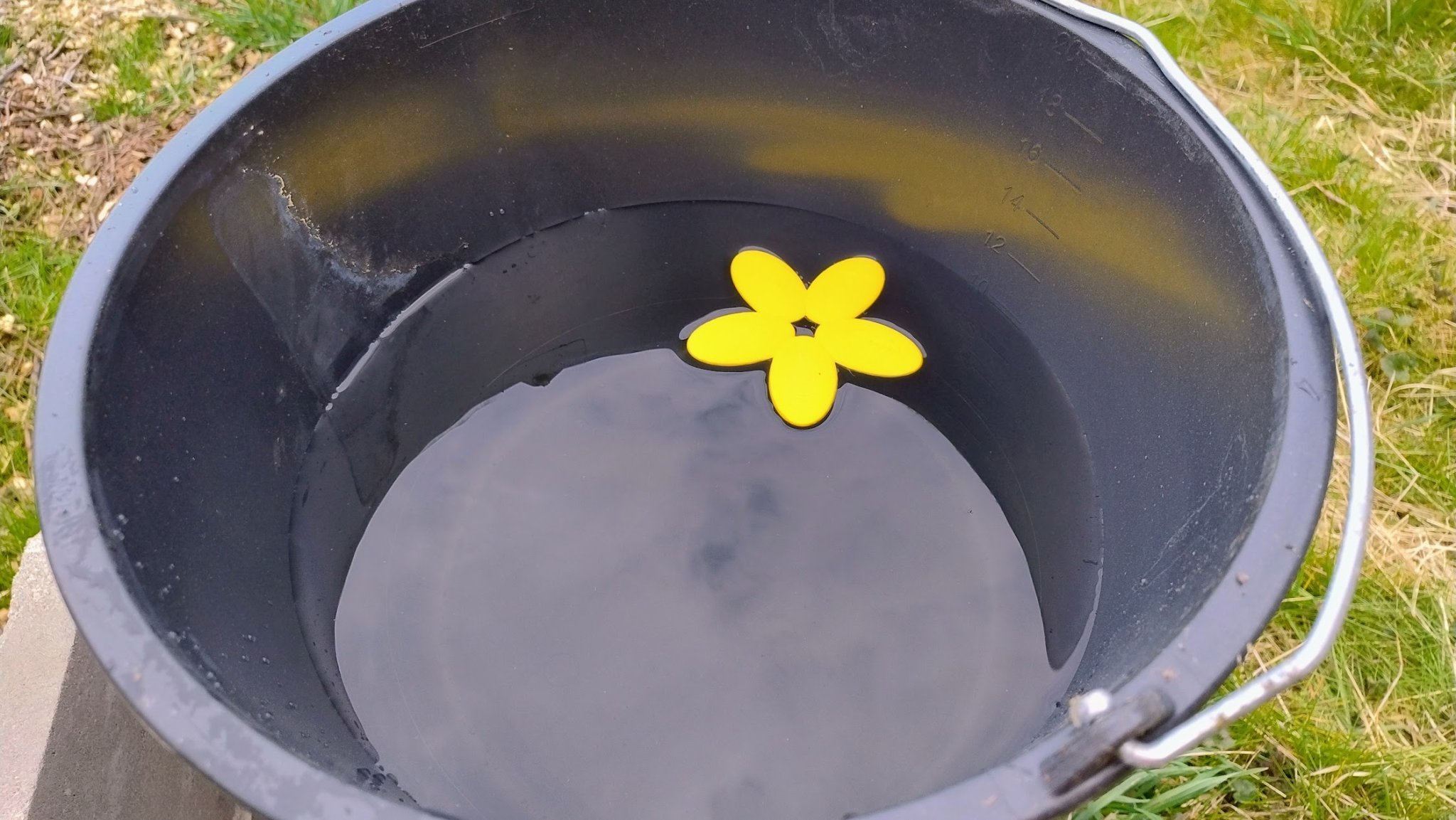 Bệ nước nổi cho ong với hoa 13 cánh