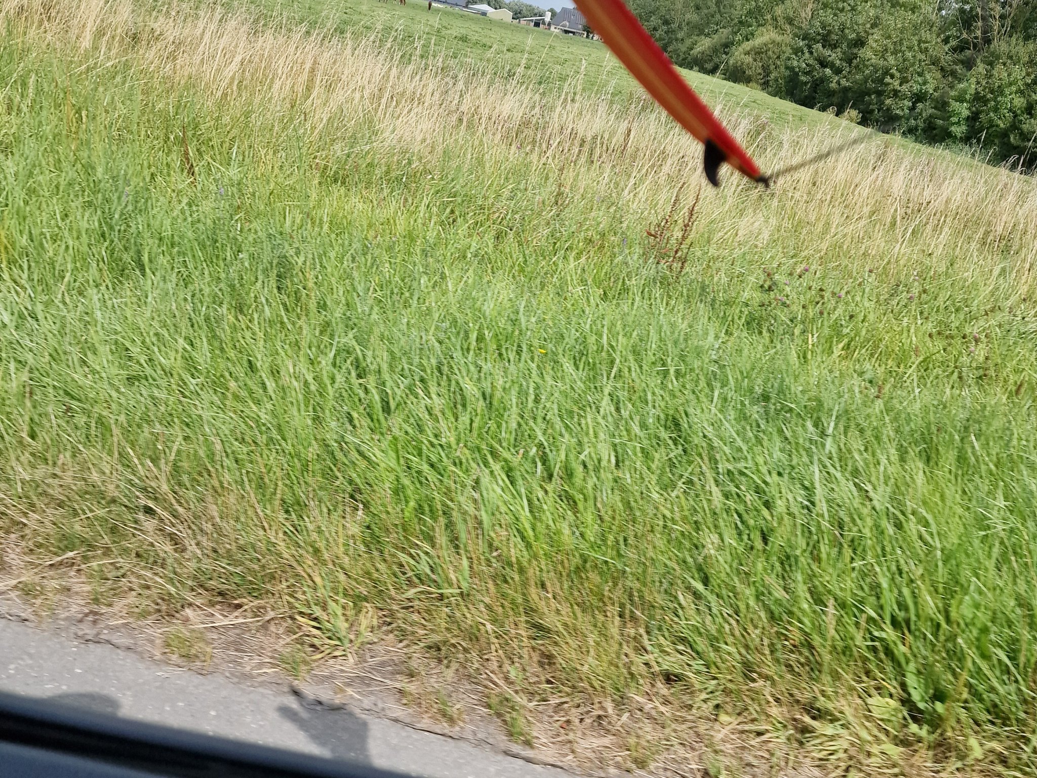 Bộ sưu tập ván lướt ngón tay FingerSurfBoard