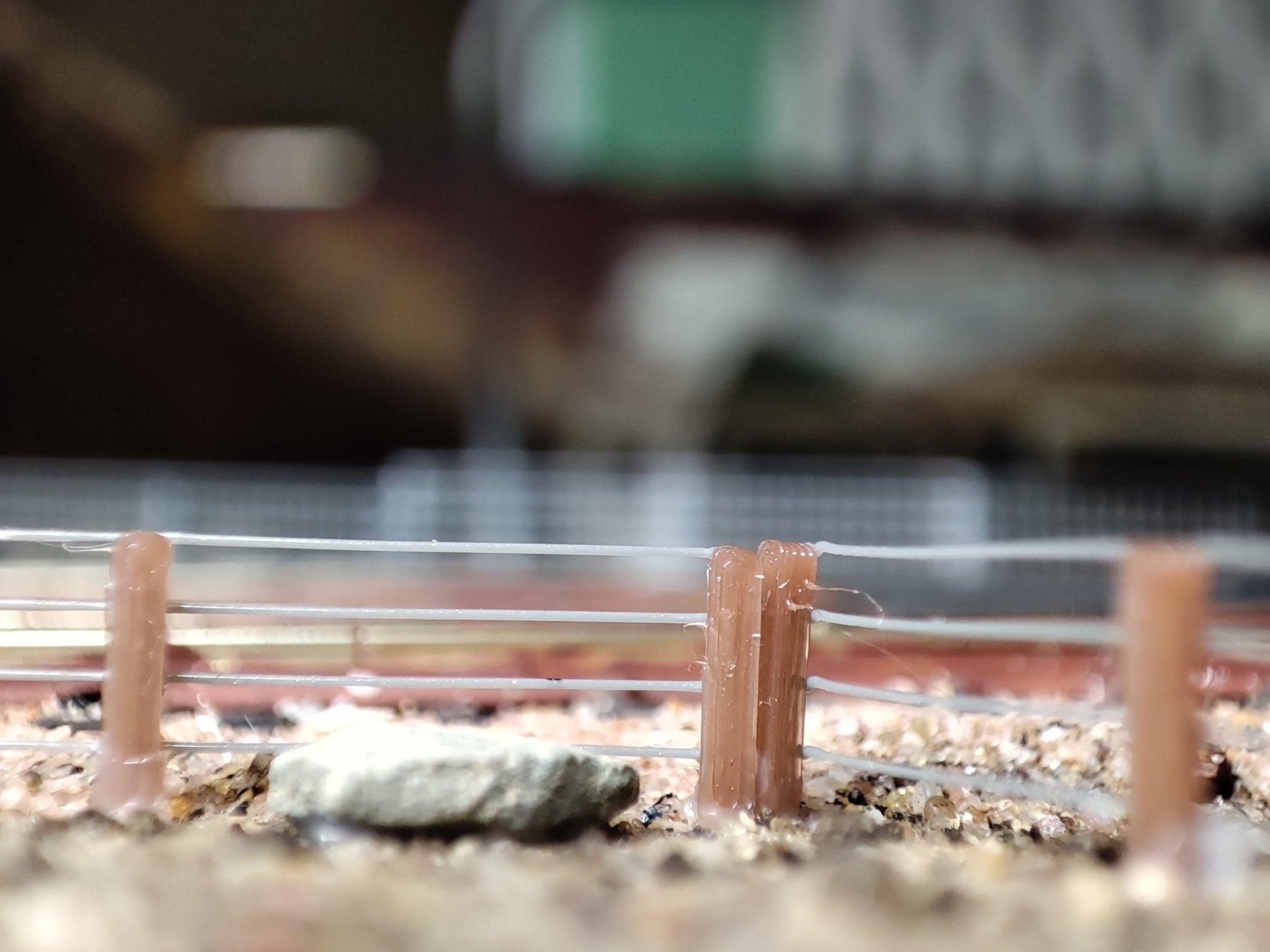 Hàng rào đồng cỏ quy mô N cho mô hình đường sắt