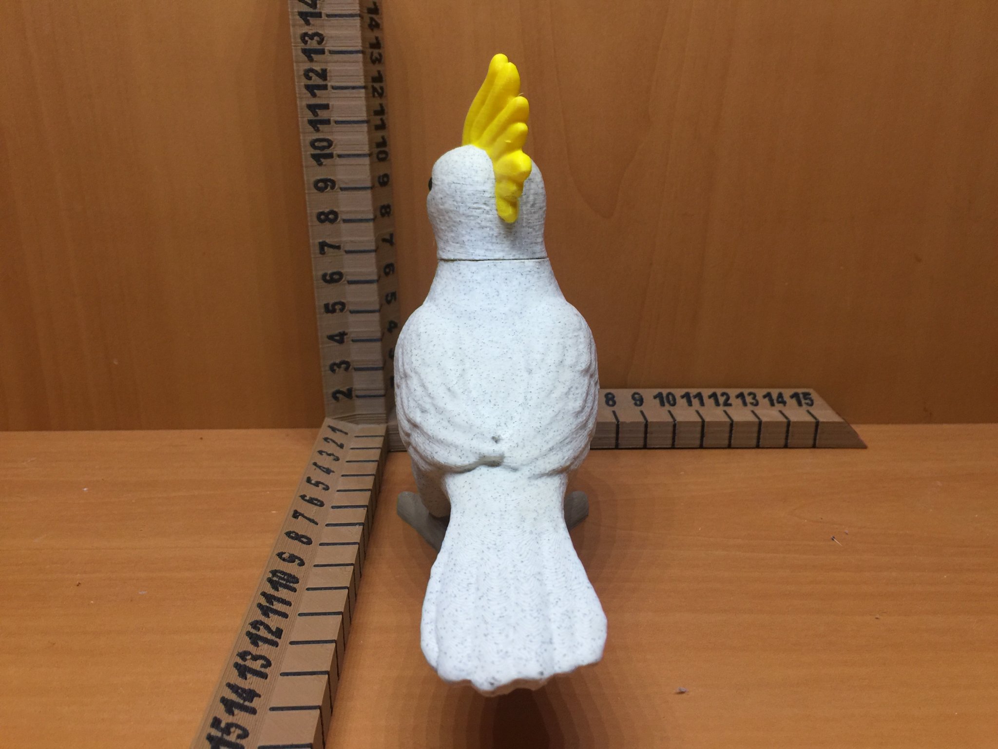 Chim Cockatiel dễ thương cho trò chơi nhập vai