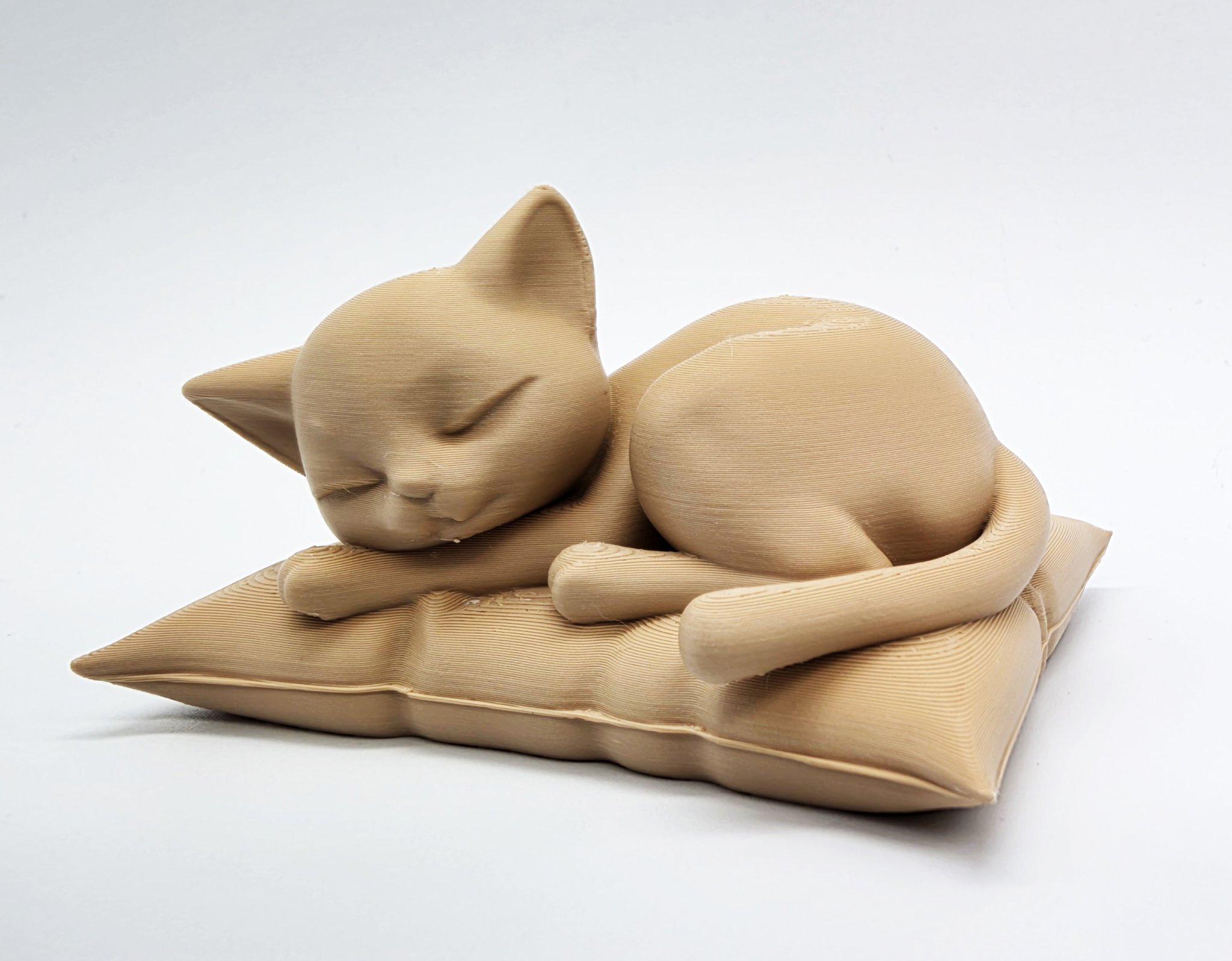 Mèo ngủ trên gối mềm mại