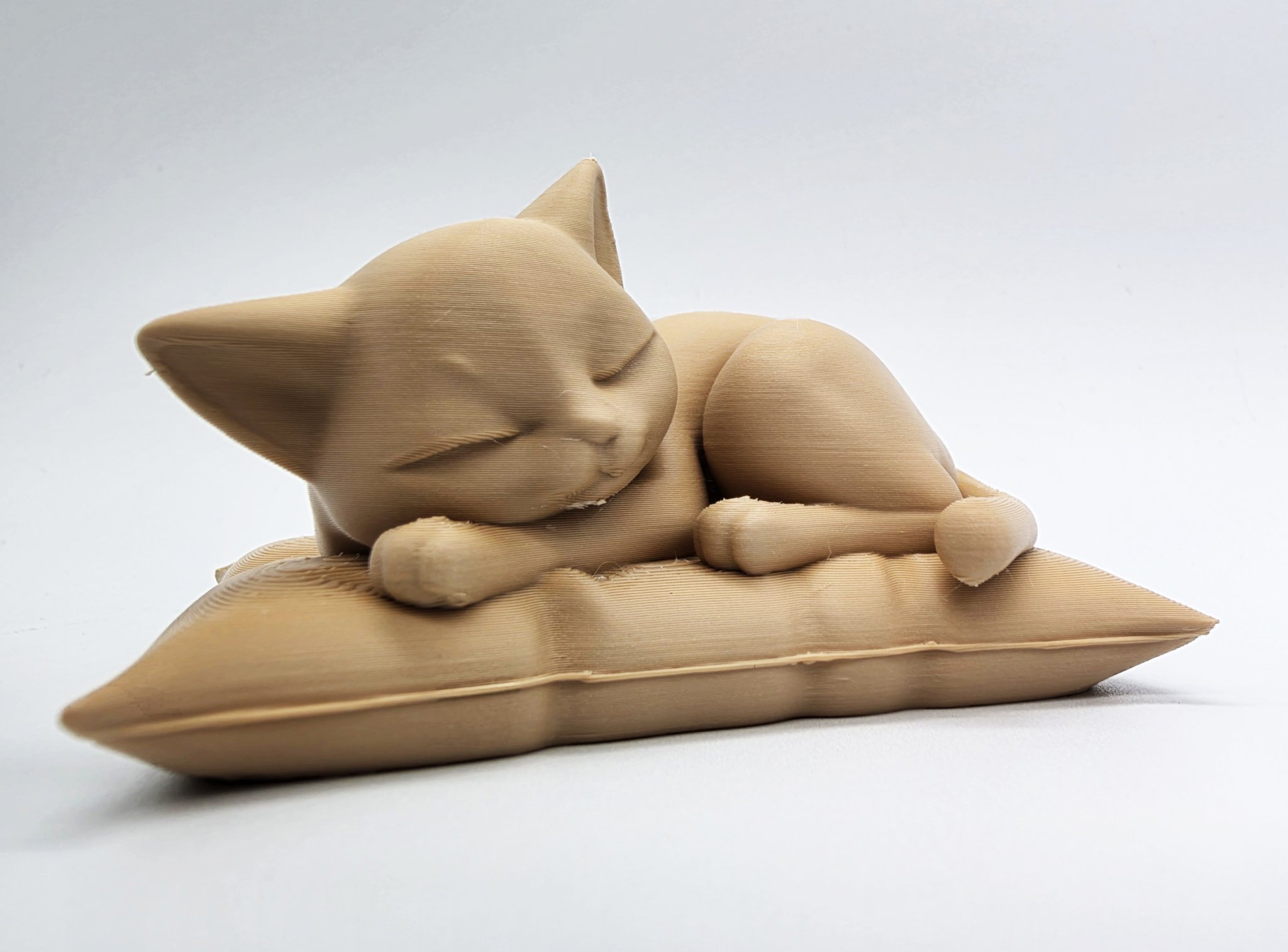 Mèo ngủ trên gối mềm mại