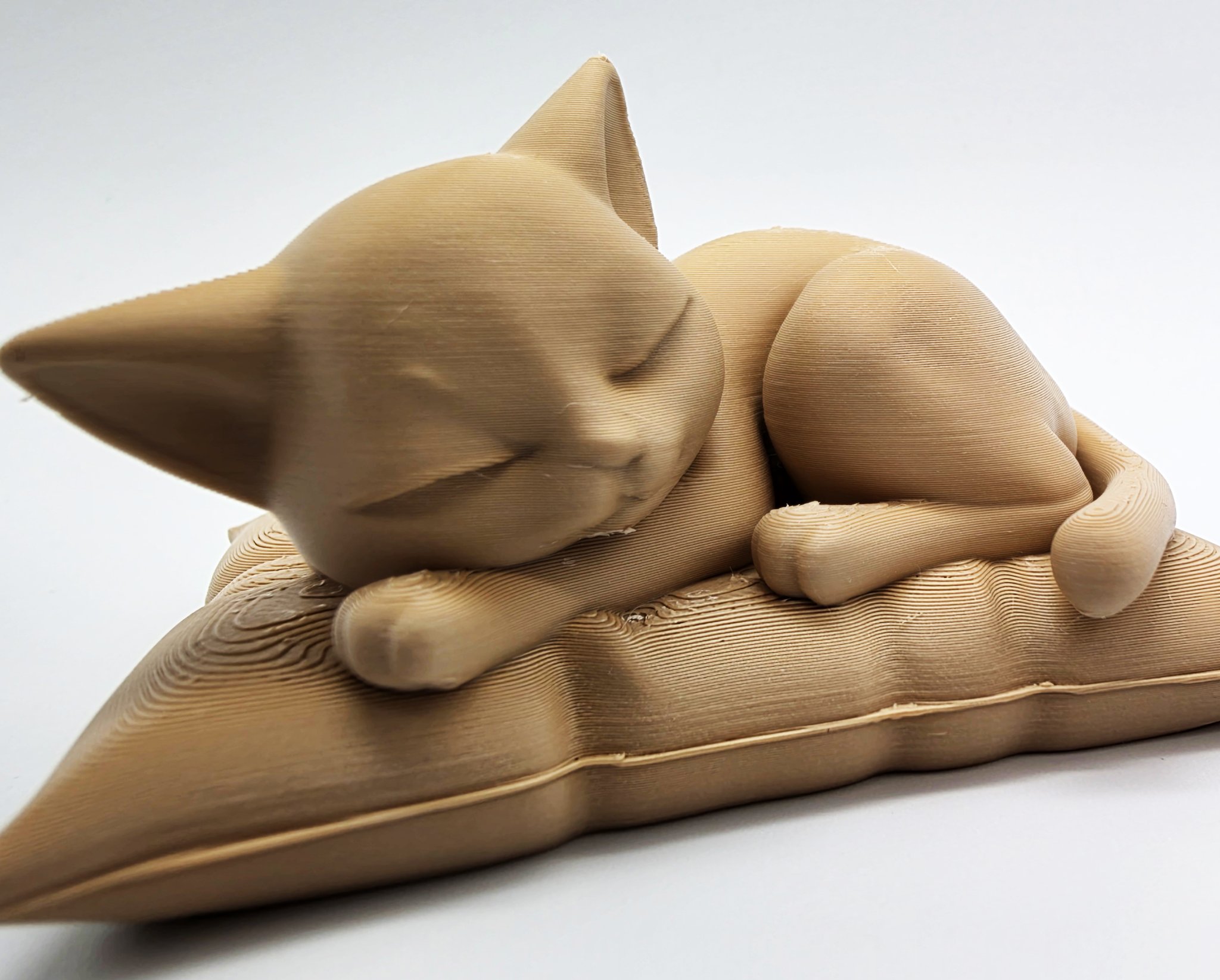 Mèo ngủ trên gối mềm mại