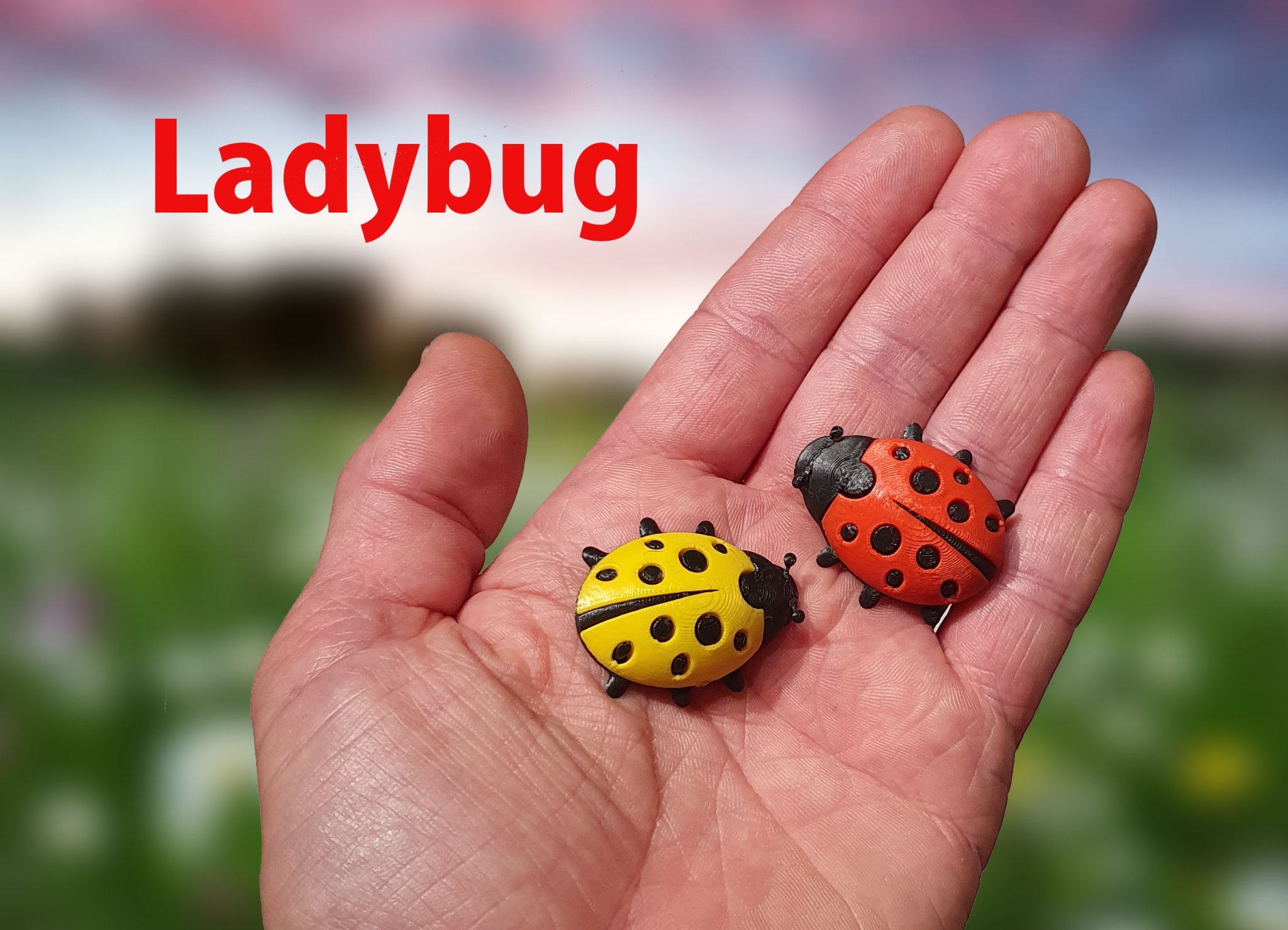 Nhân vật bọ rùa dễ thương trong phong cách 3D