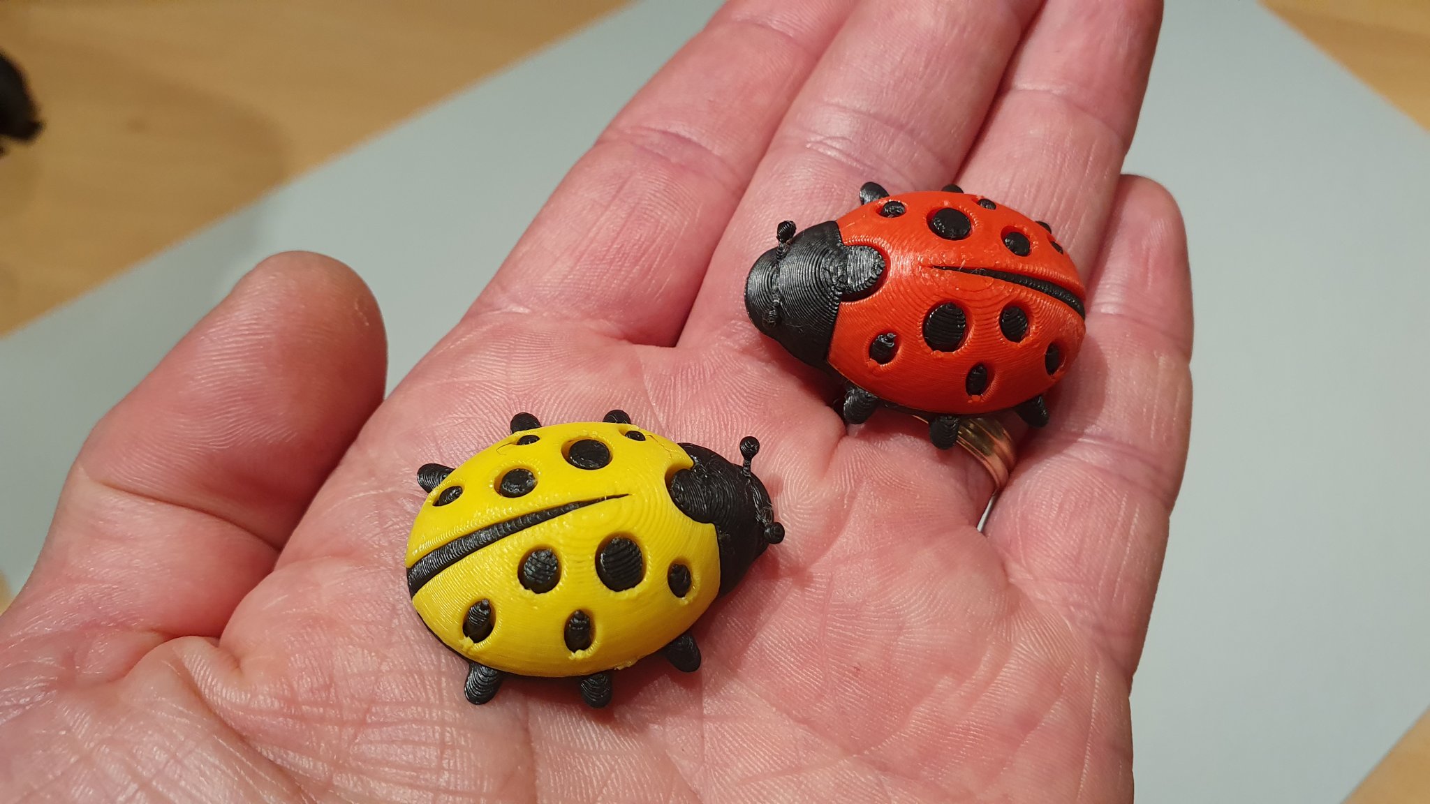 Nhân vật bọ rùa dễ thương trong phong cách 3D