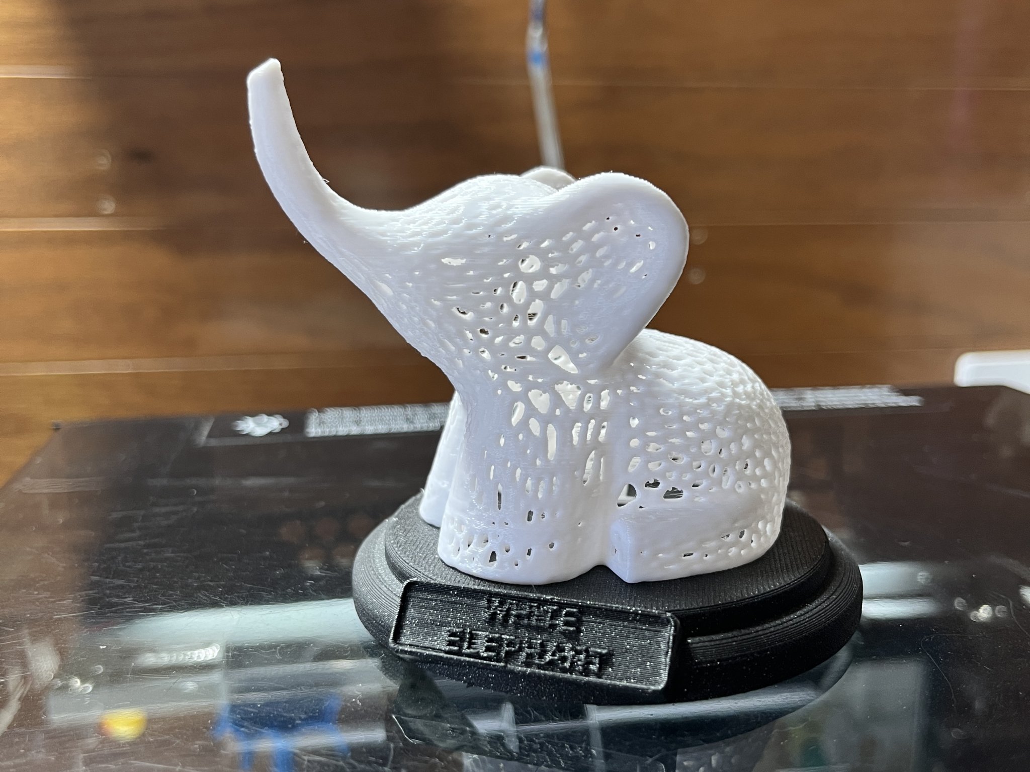 Cúp trao giải cho món quà Voi Trắng trong dịp lễ hội