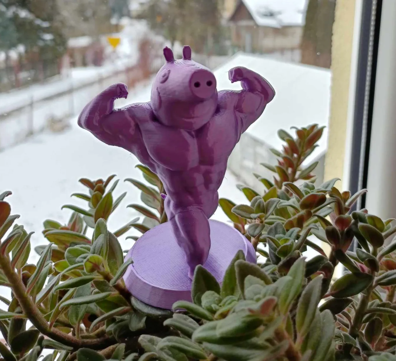 Peppa Heo Cơ Bắp Hài Hước