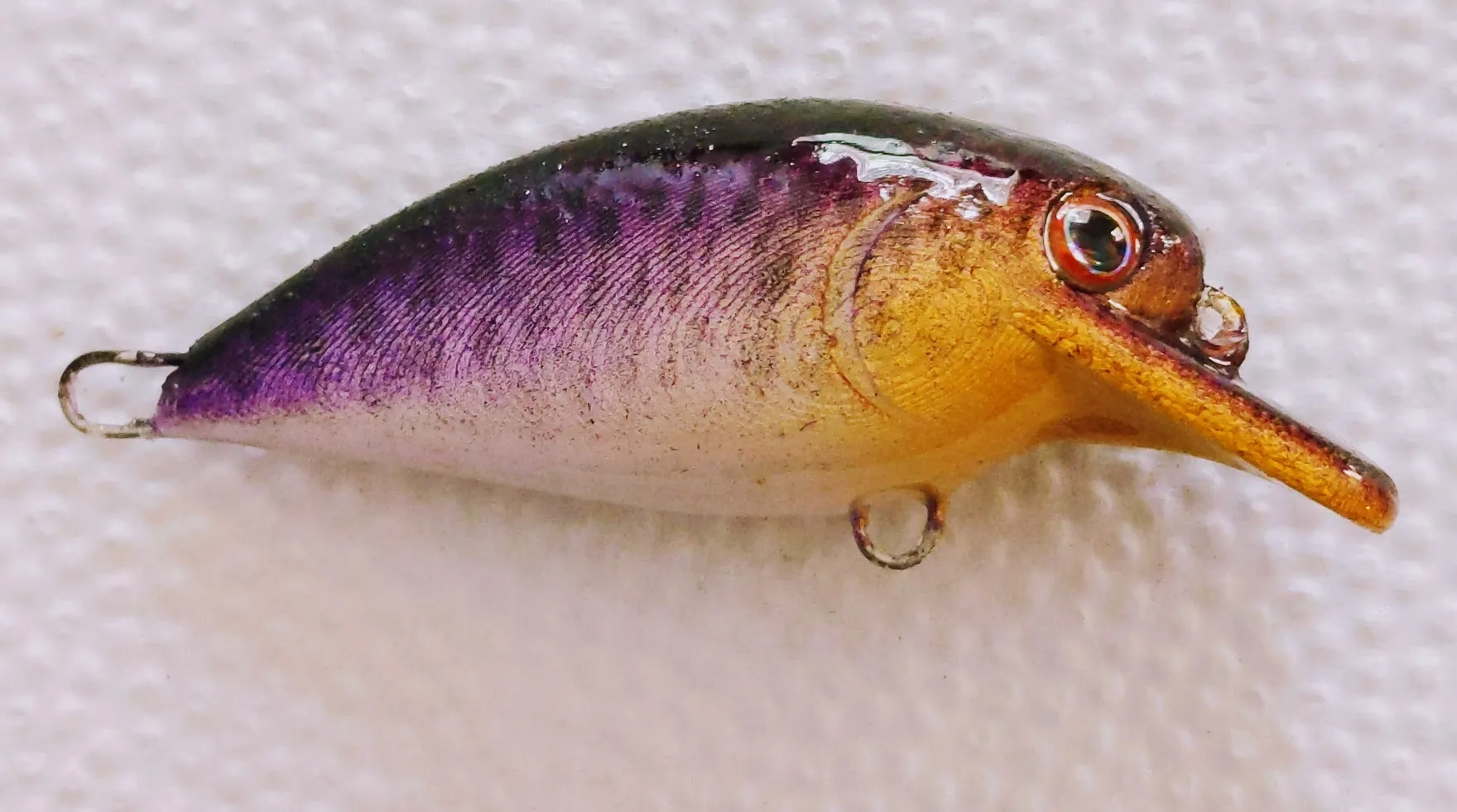 Bộ sưu tập mồi câu cá #1