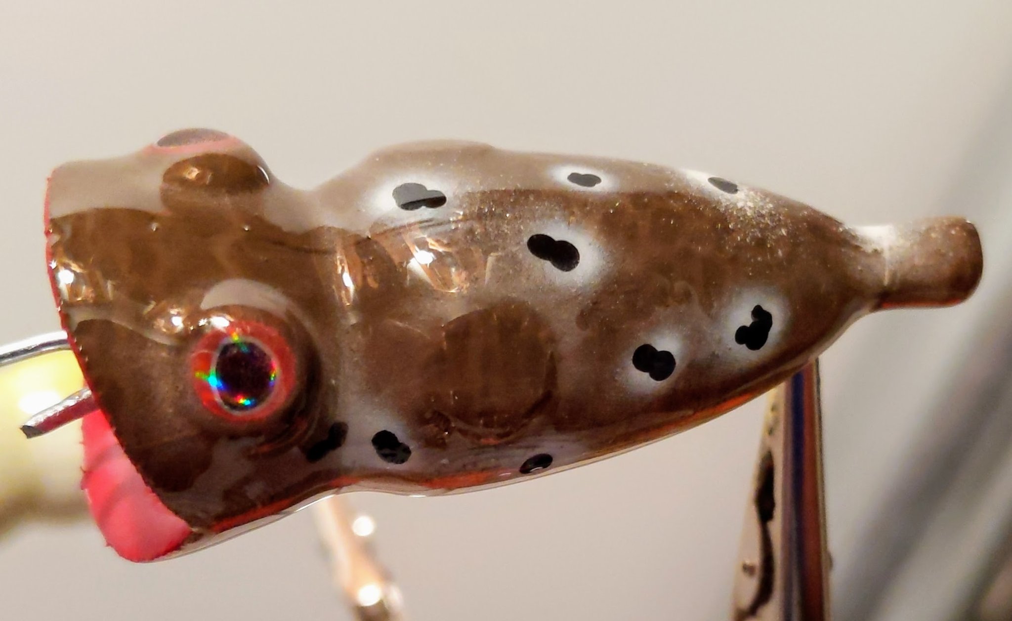 Bộ sưu tập mồi câu cá #1