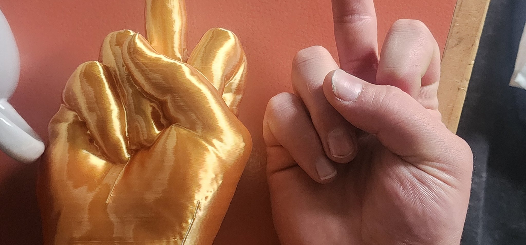 Cúp tay người với ngón giữa giơ lên độc đáo