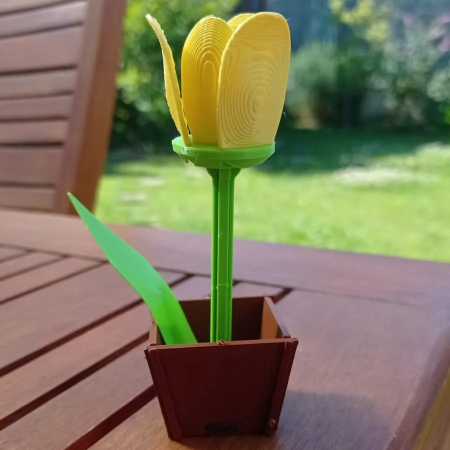 Thẻ quà tặng làm hoa tulip tự chế