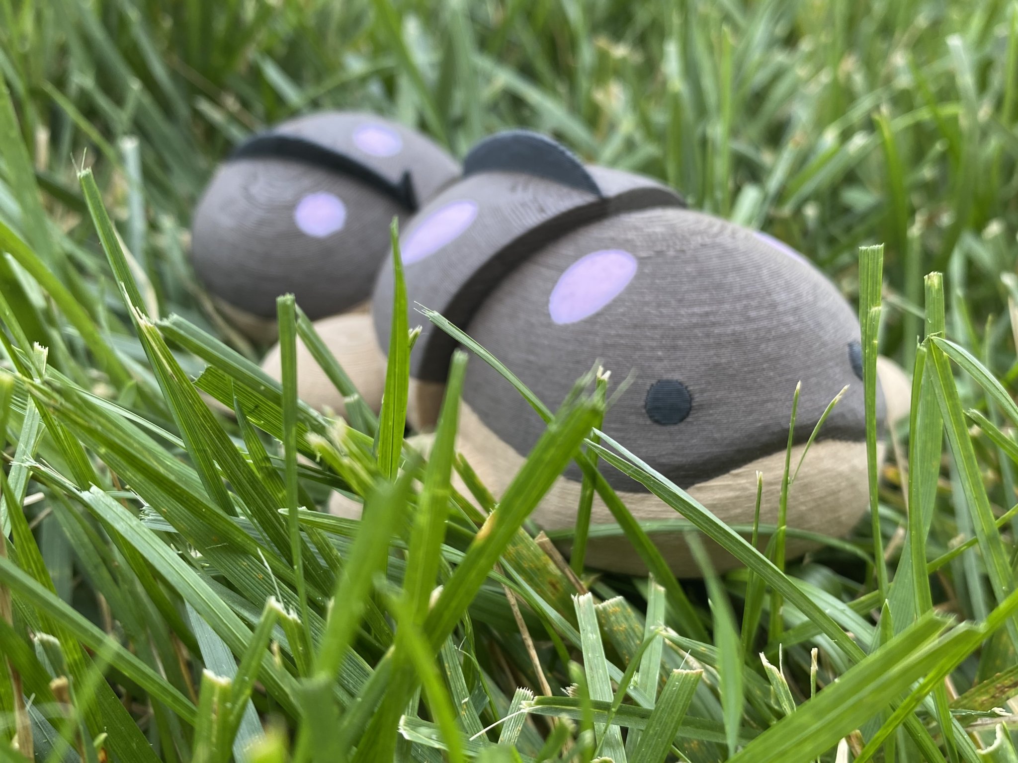 Nhân vật Clodsire dễ thương từ Pokemon Scarlet và Violet