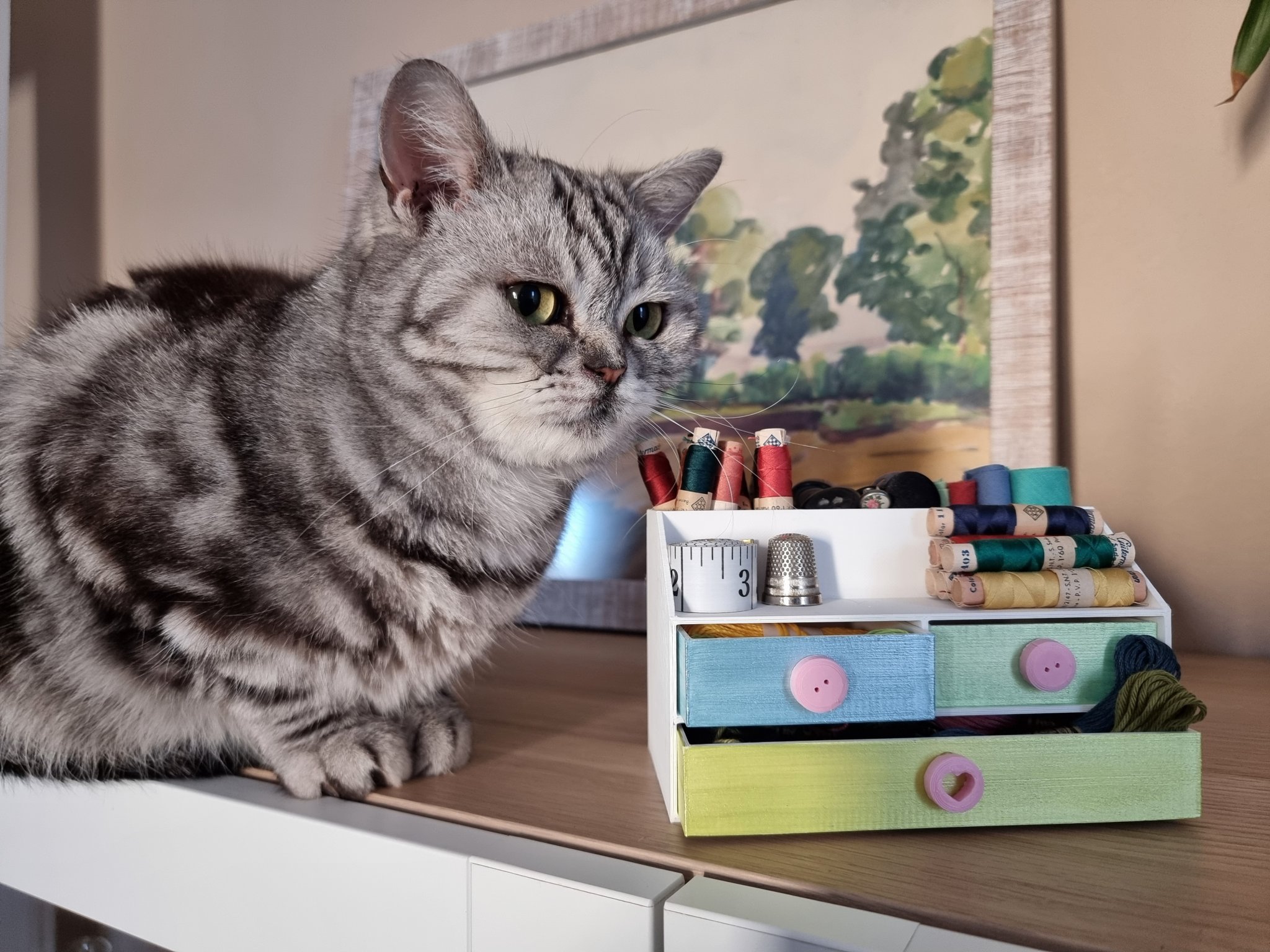 Hộp đựng kim chỉ chia thành ba phần tiện lợi cho việc in 3D