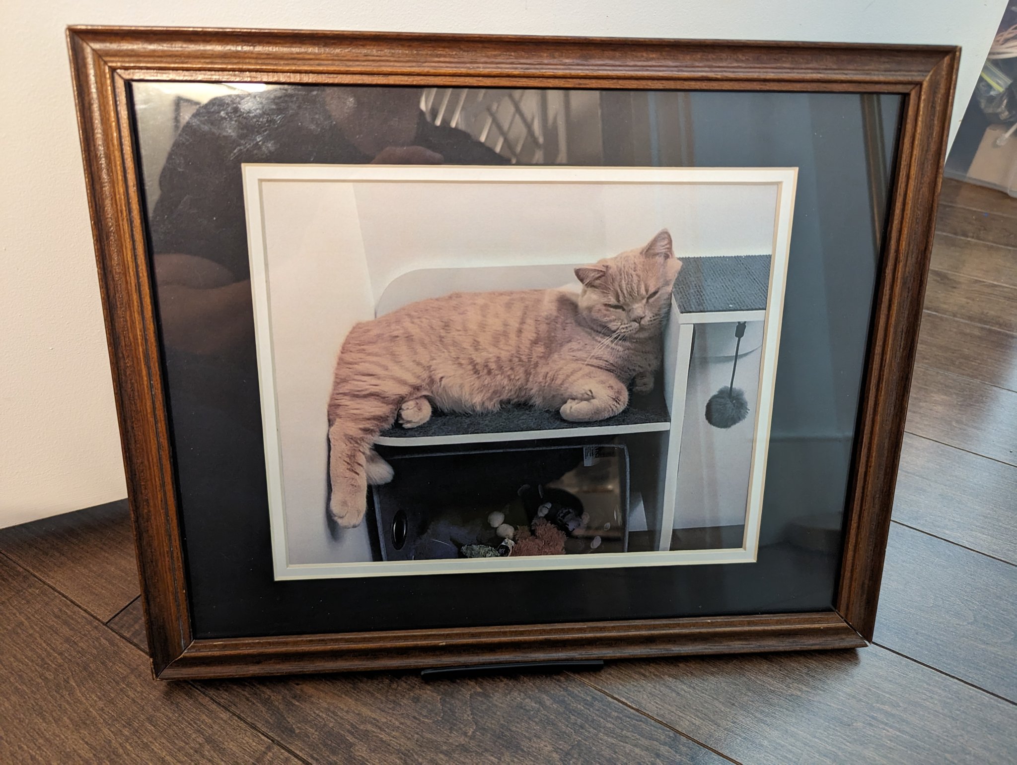 Giá đỡ khung ảnh hiện đại với độ dày 2cm