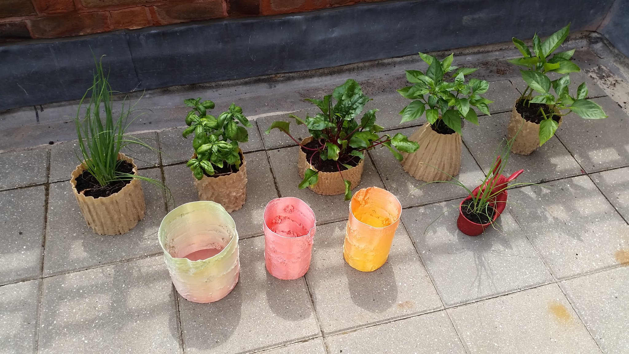 Kết cấu cây bạch dương thực tế cho chao đèn 3D