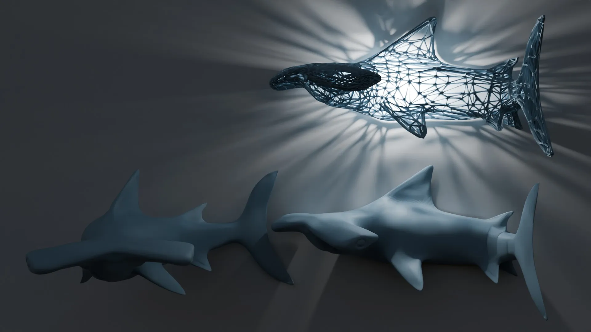 Cá mập búa treo tường cho bể cá của bạn