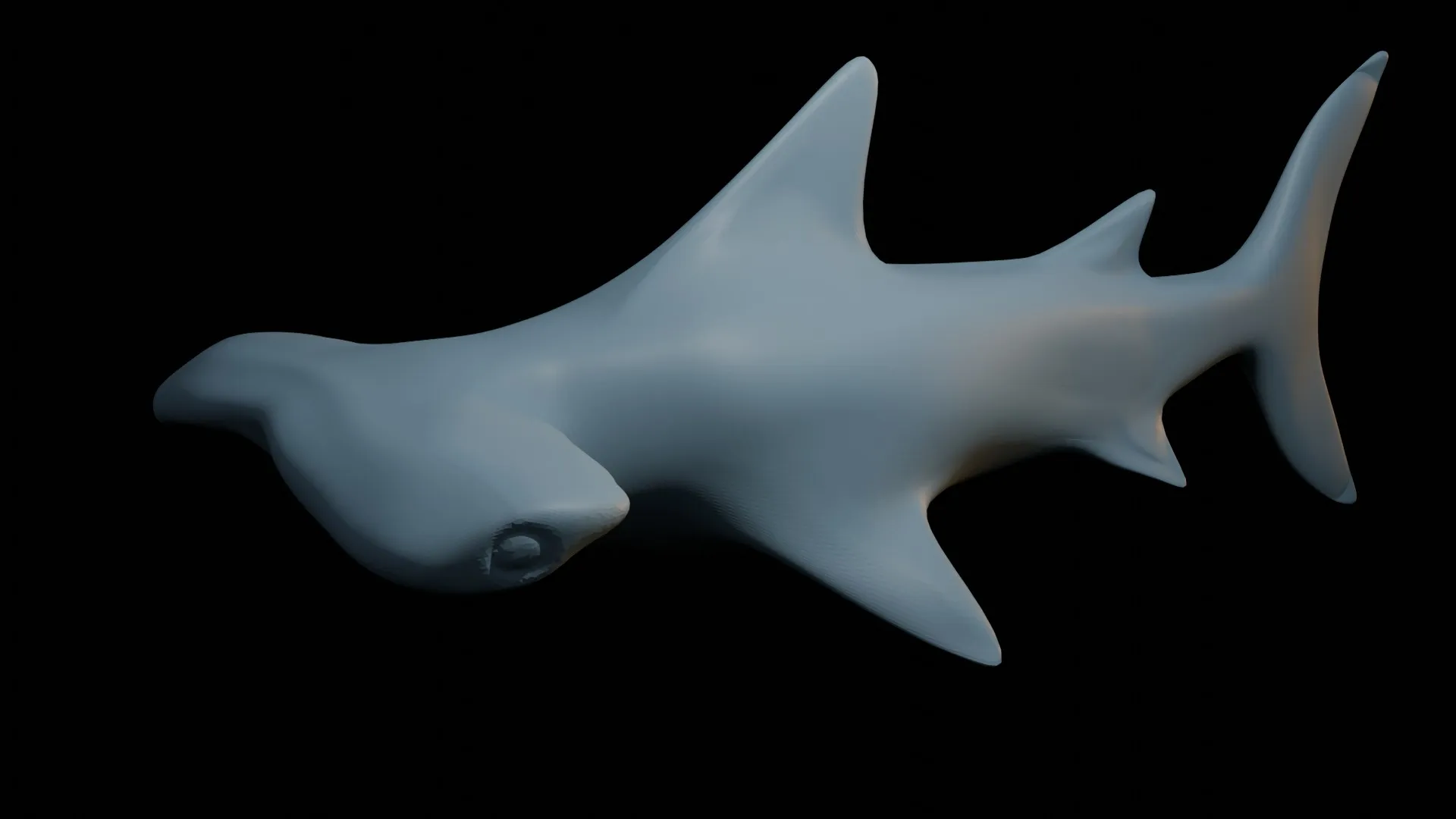 Cá mập búa treo tường cho bể cá của bạn