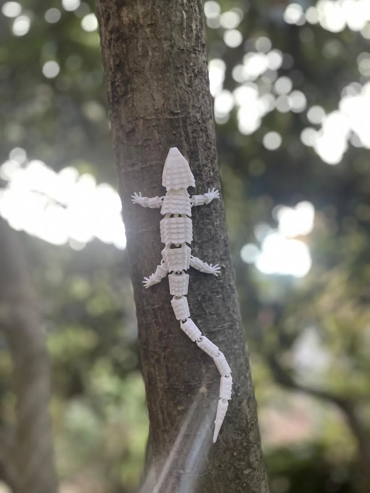 Thằn lằn khớp nối độc đáo cho trang trí nội thất