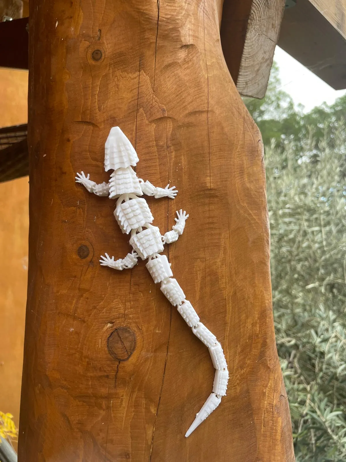 Thằn lằn khớp nối độc đáo cho trang trí nội thất