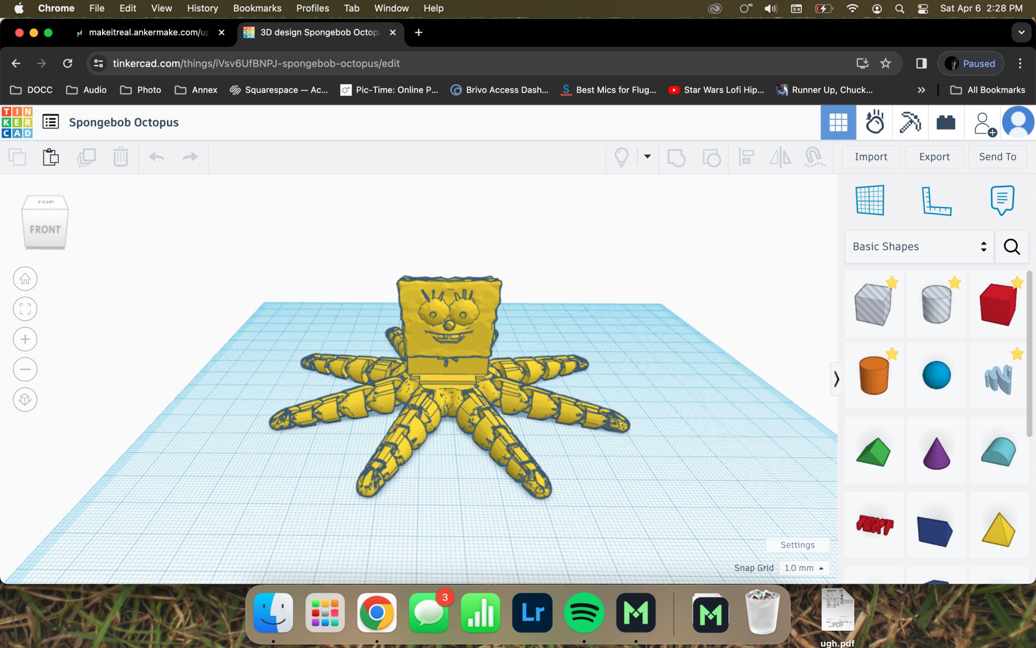 Bạch tuộc Spongebob với đầu đặc trưng