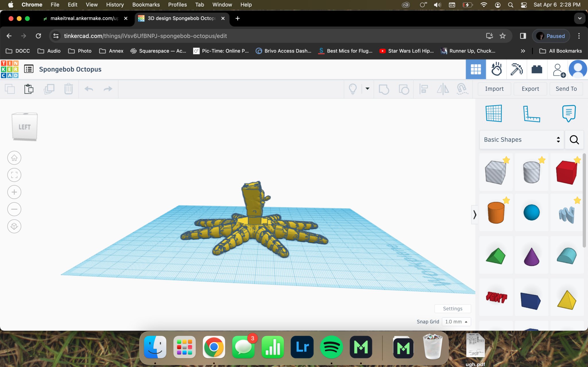 Bạch tuộc Spongebob với đầu đặc trưng