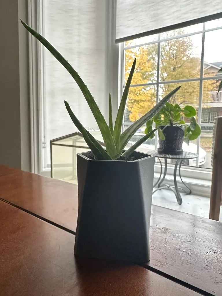 Chậu cây xương rồng GreenScapes phong cách hiện đại